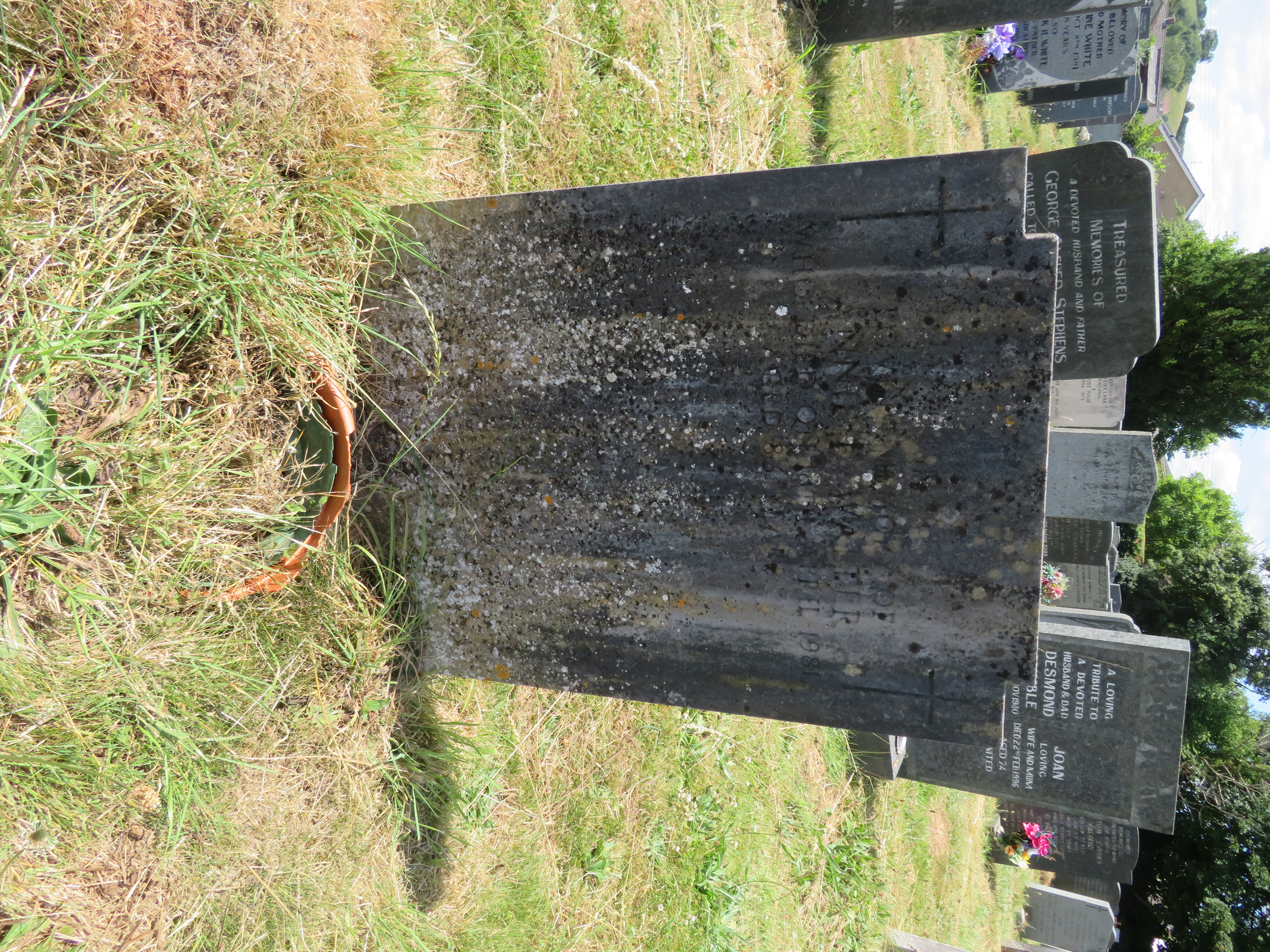 MSN-N.EE.45 1 Walter