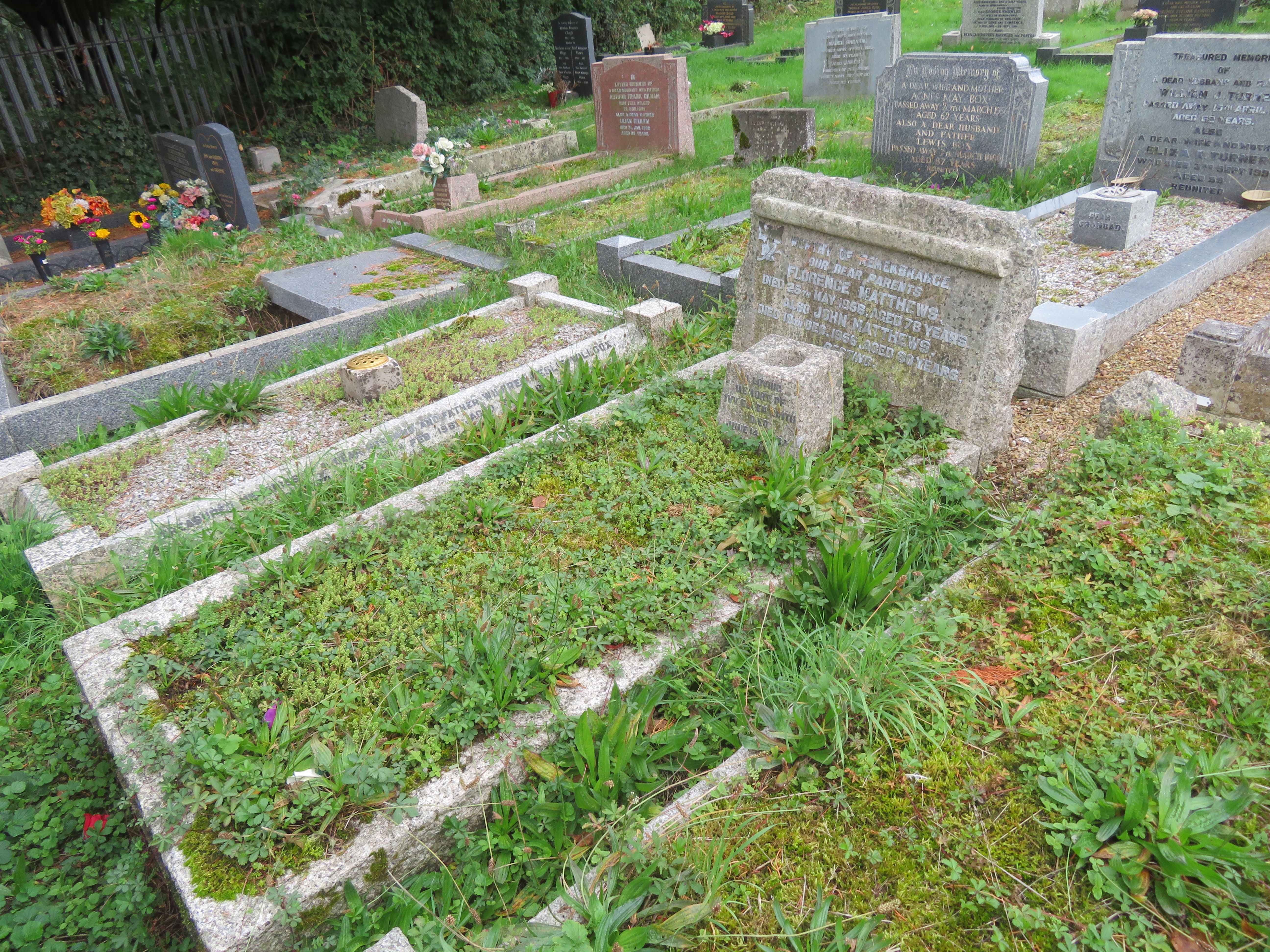 MSN-N.F.06 1 Matthews