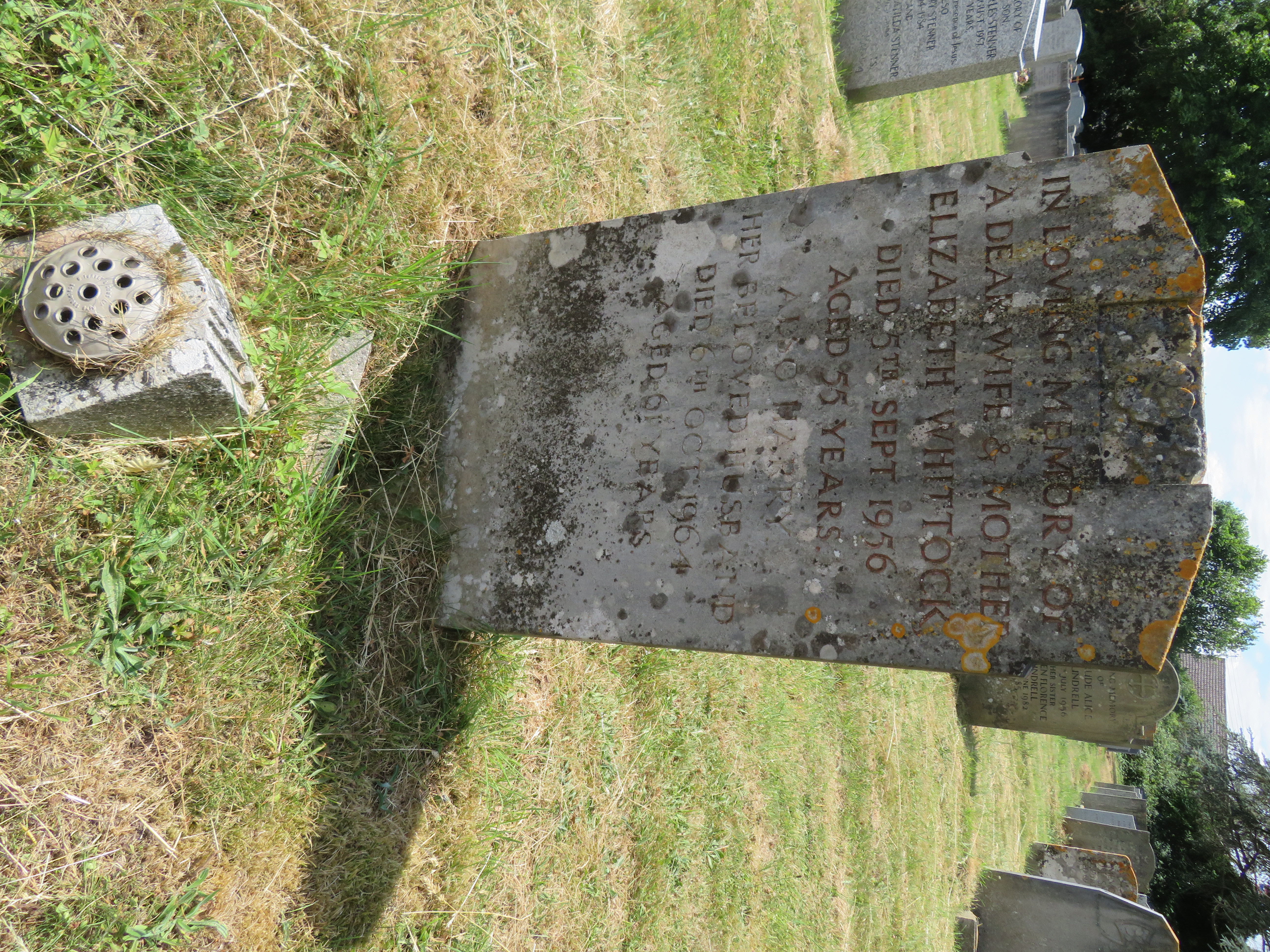 MSN-N.FF.07 1 Whittock