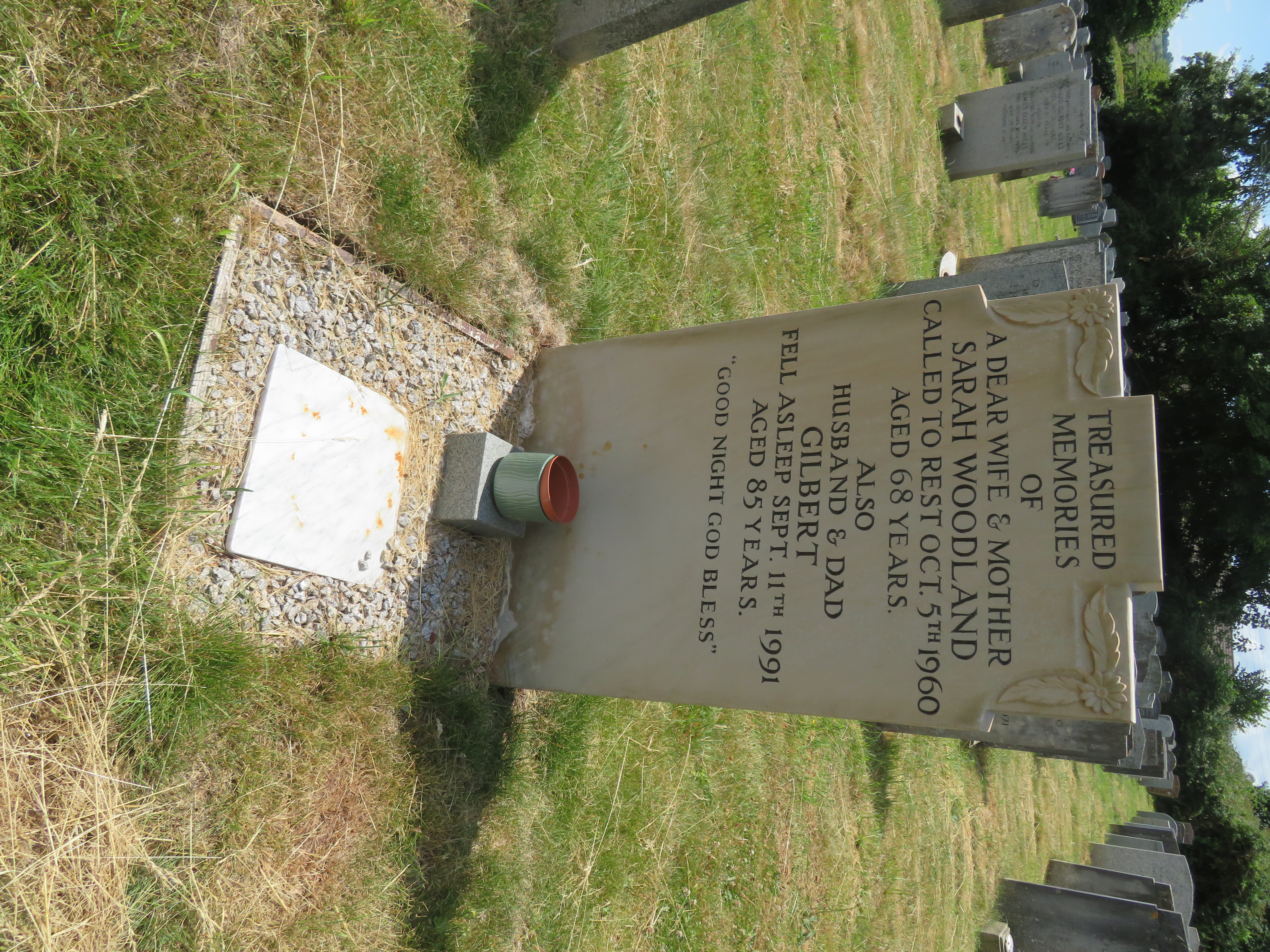 MSN-N.FF.14 1 Woodland