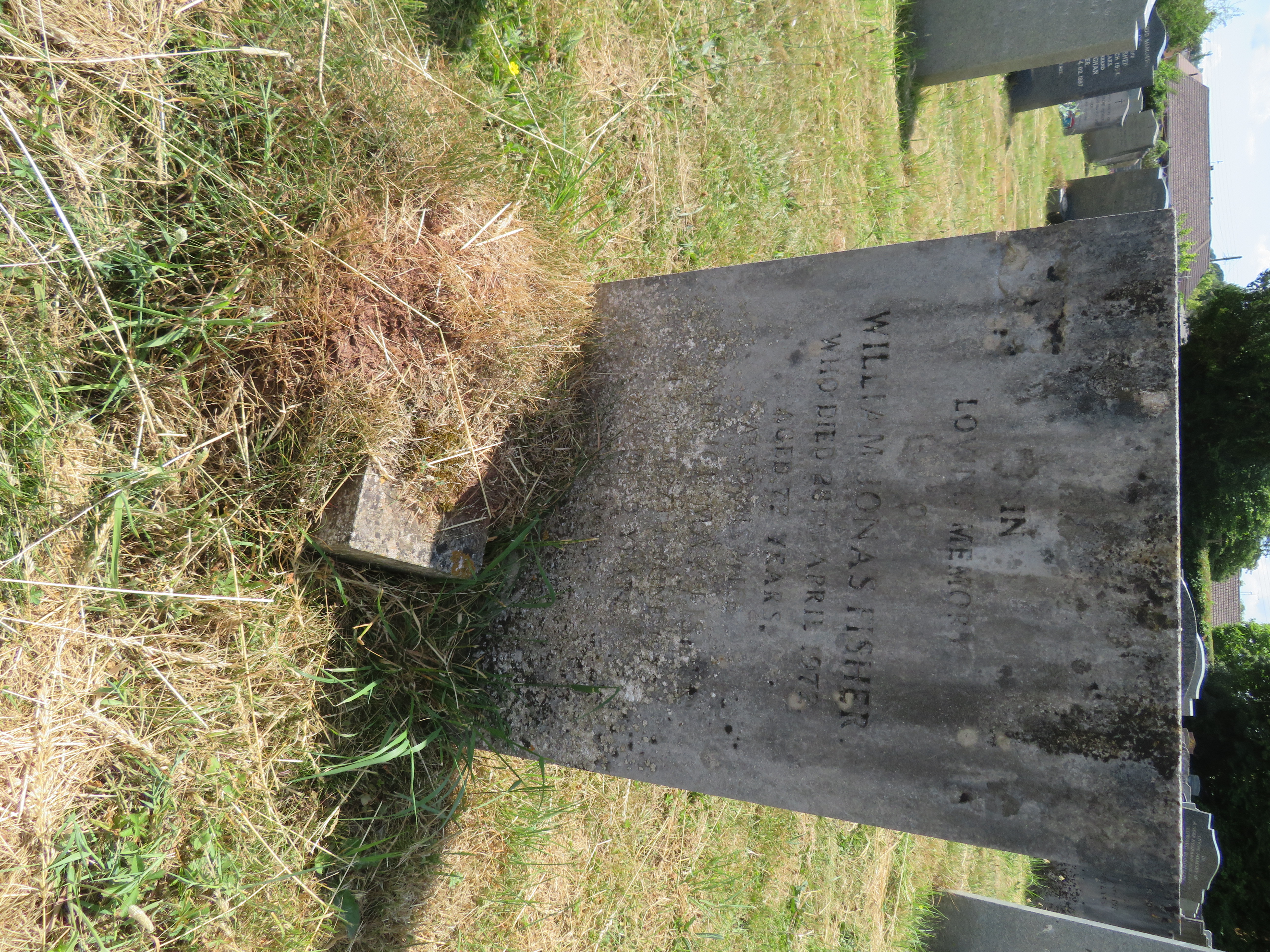 MSN-N.FF.33 1 Fisher