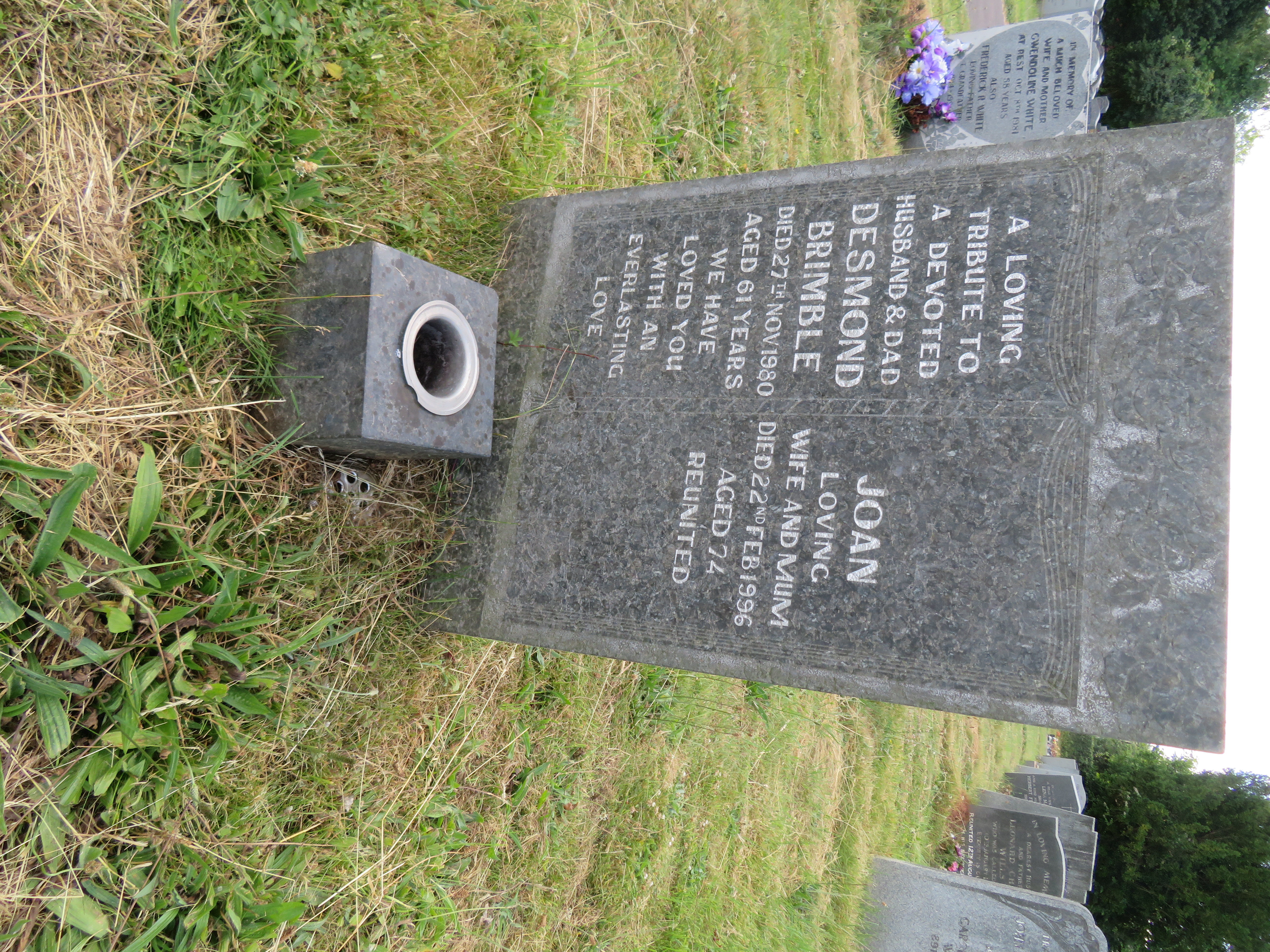 MSN-N.FF.44 1 Brimble