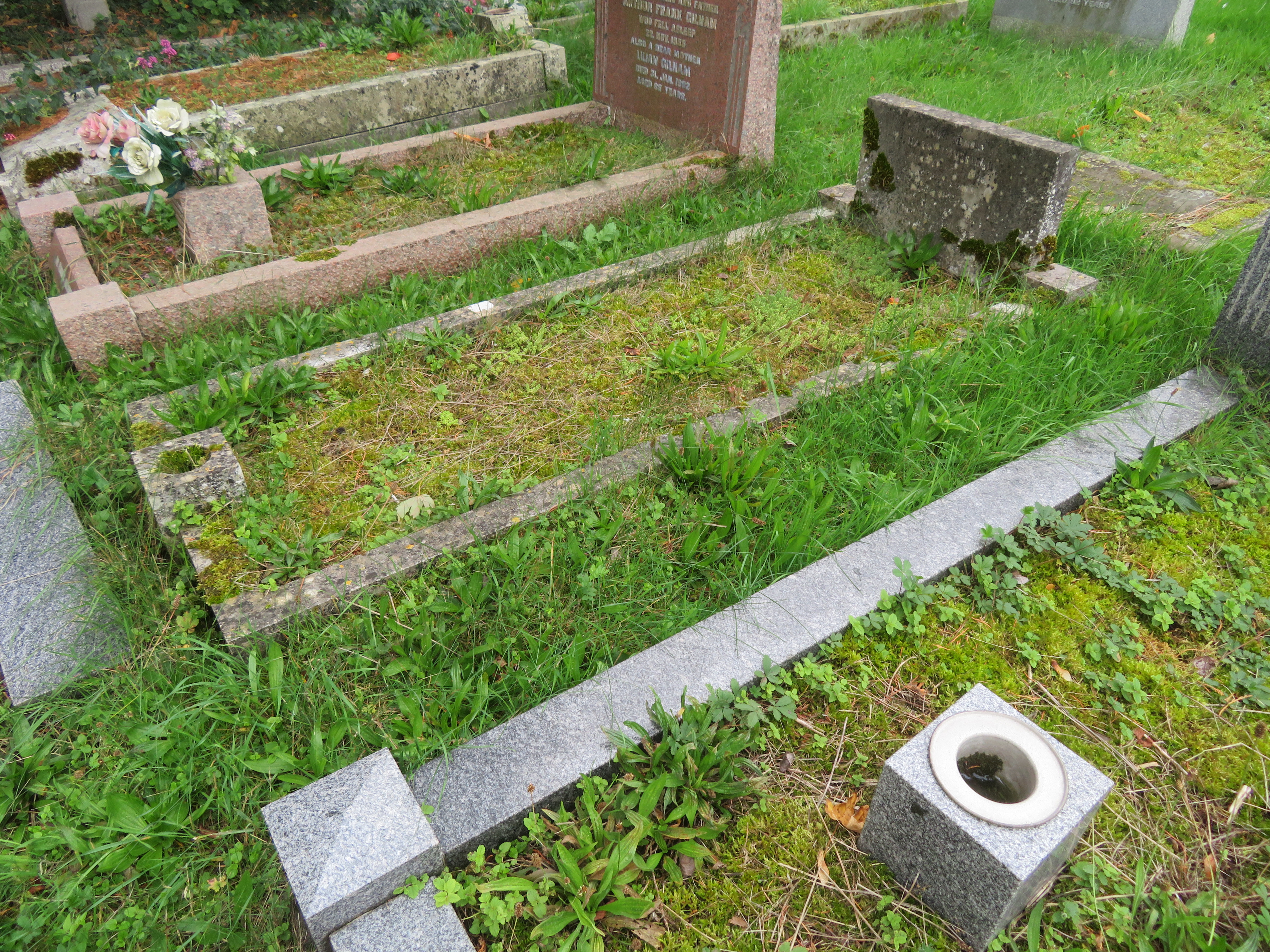 MSN-N.G.05 1 Loveridge