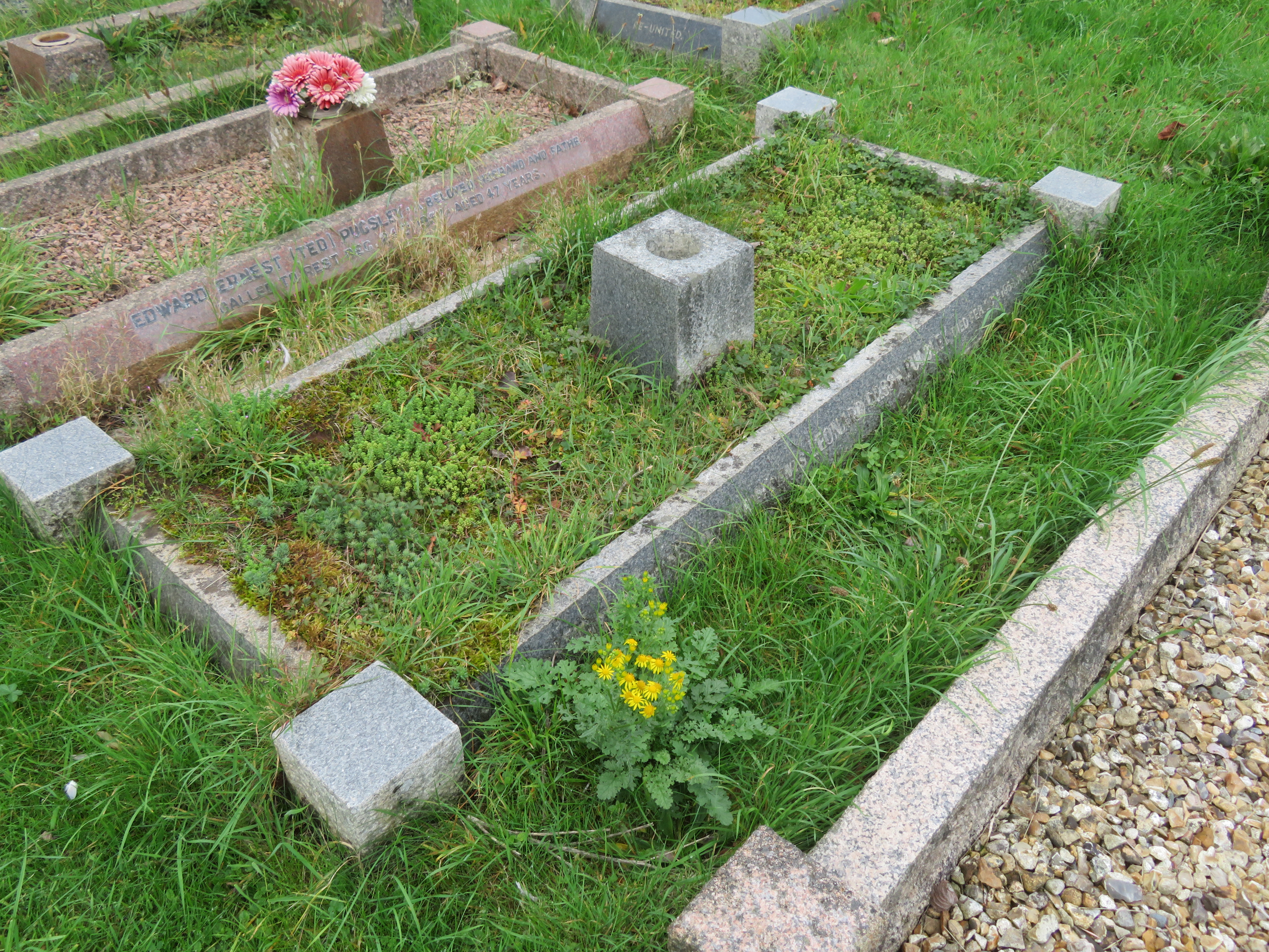 MSN-N.G.14 1 Pugsley