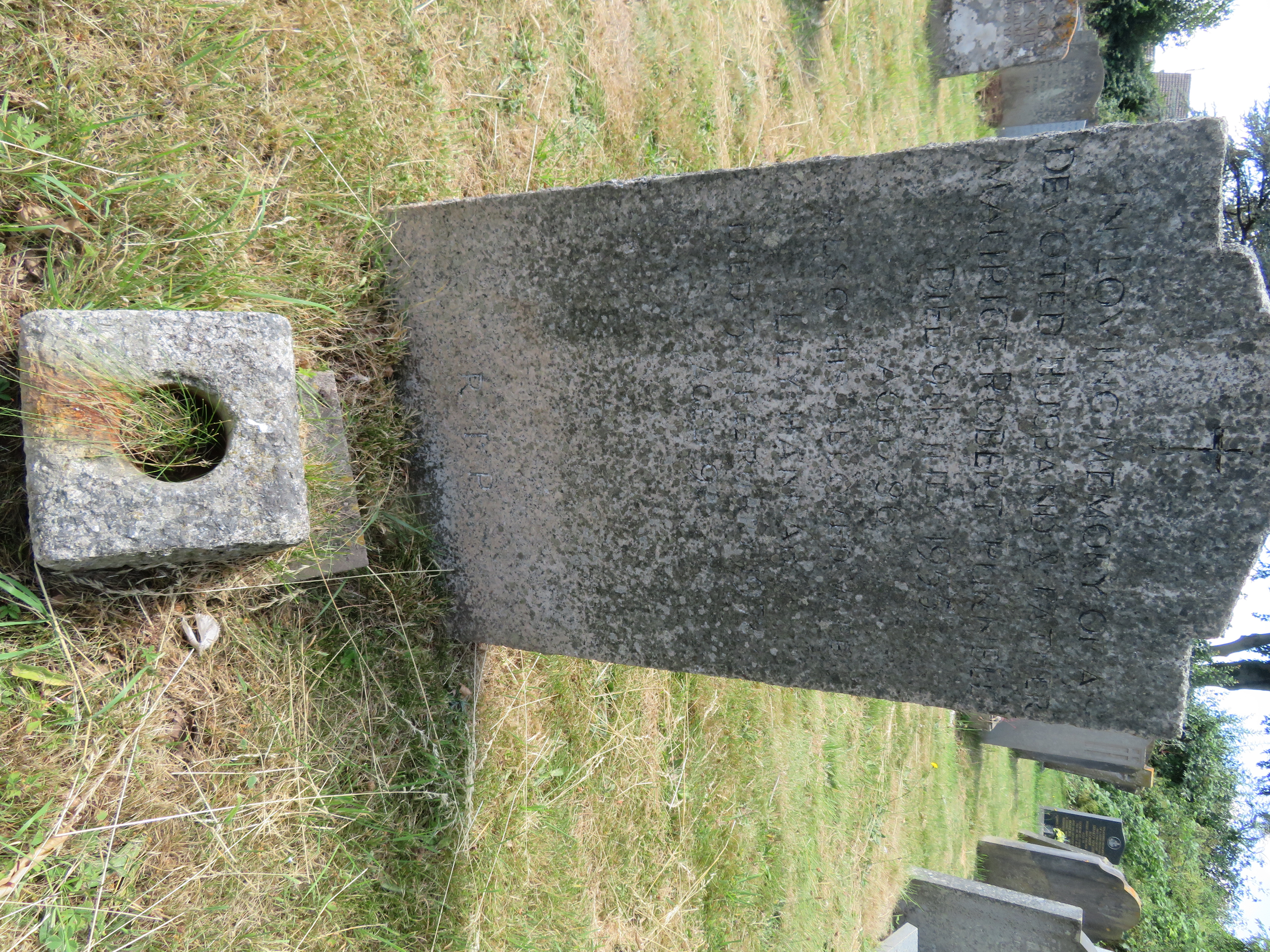 MSN-N.GG.05 1 Purnell