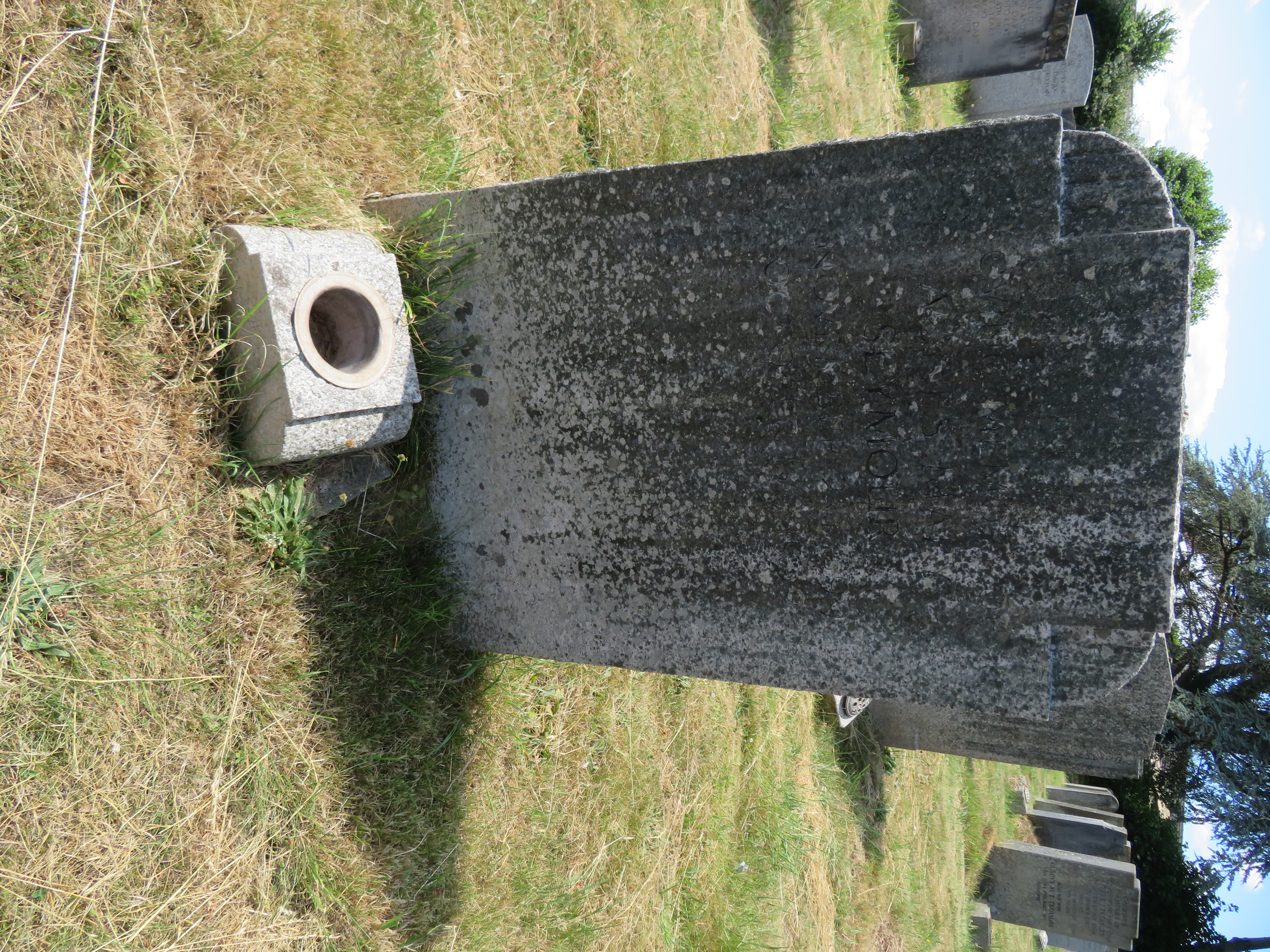 MSN-N.GG.12 1 Seymour