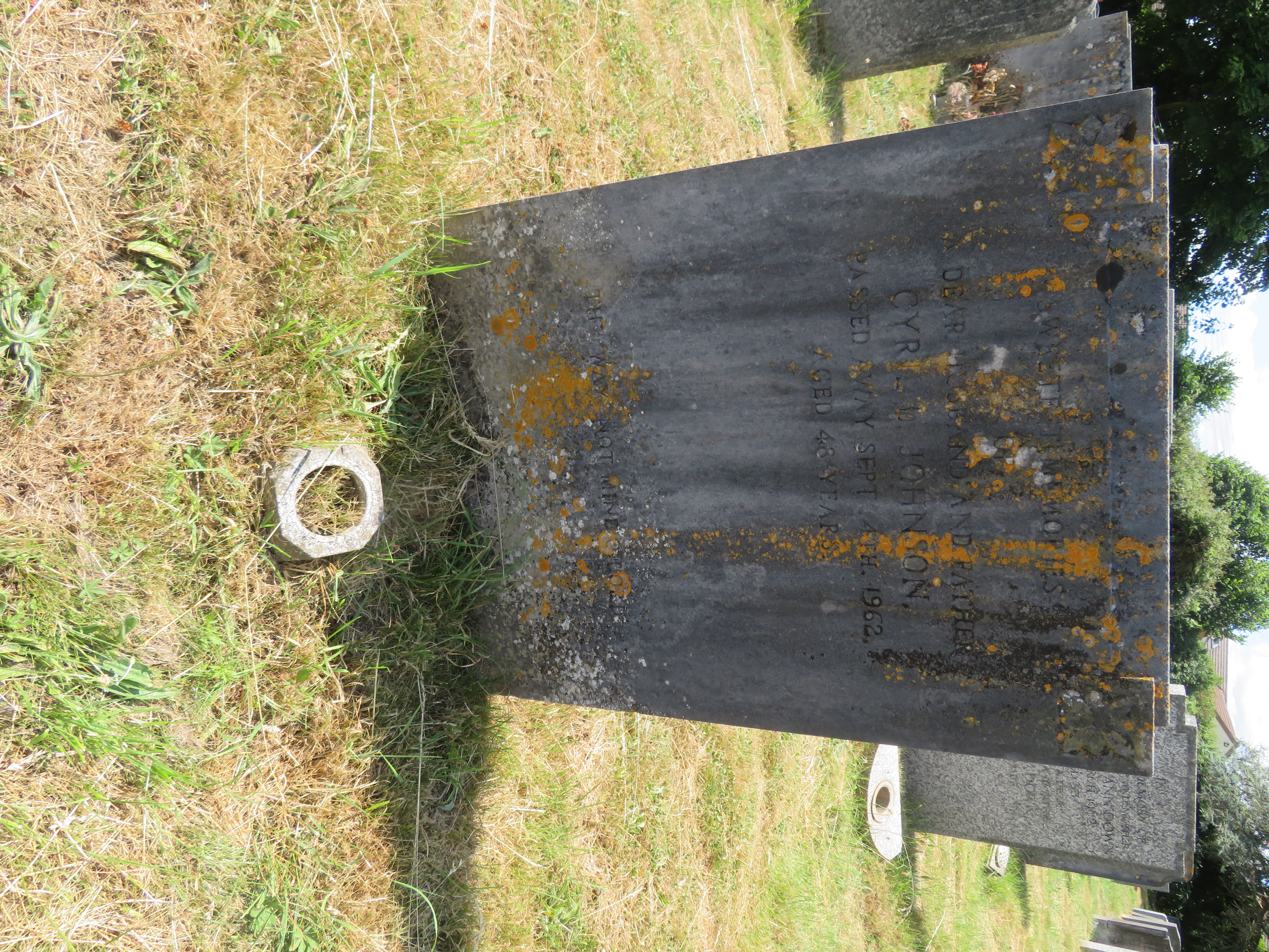 MSN-N.GG.17 1 Johnson