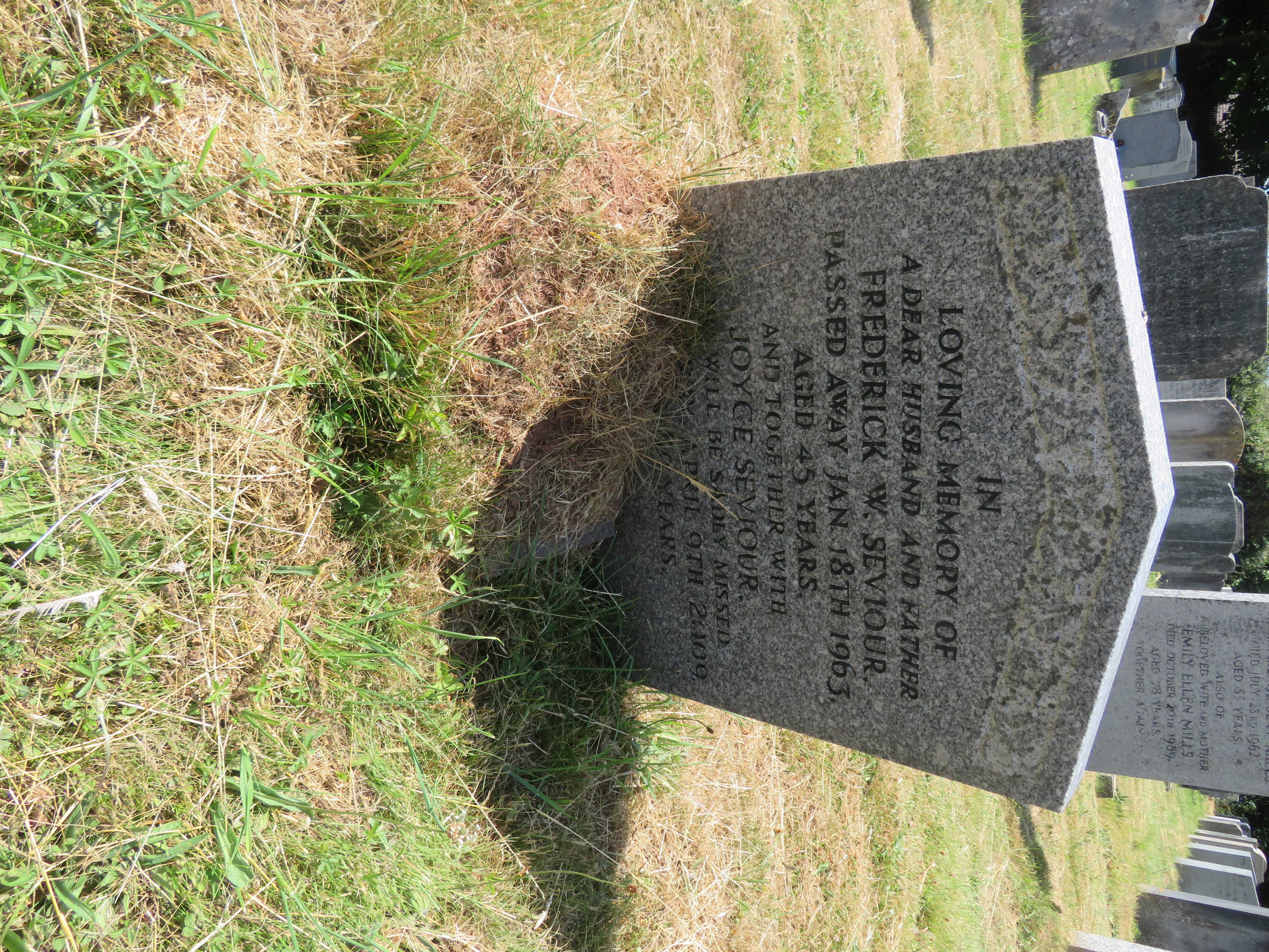 MSN-N.GG.18 1 Seviour