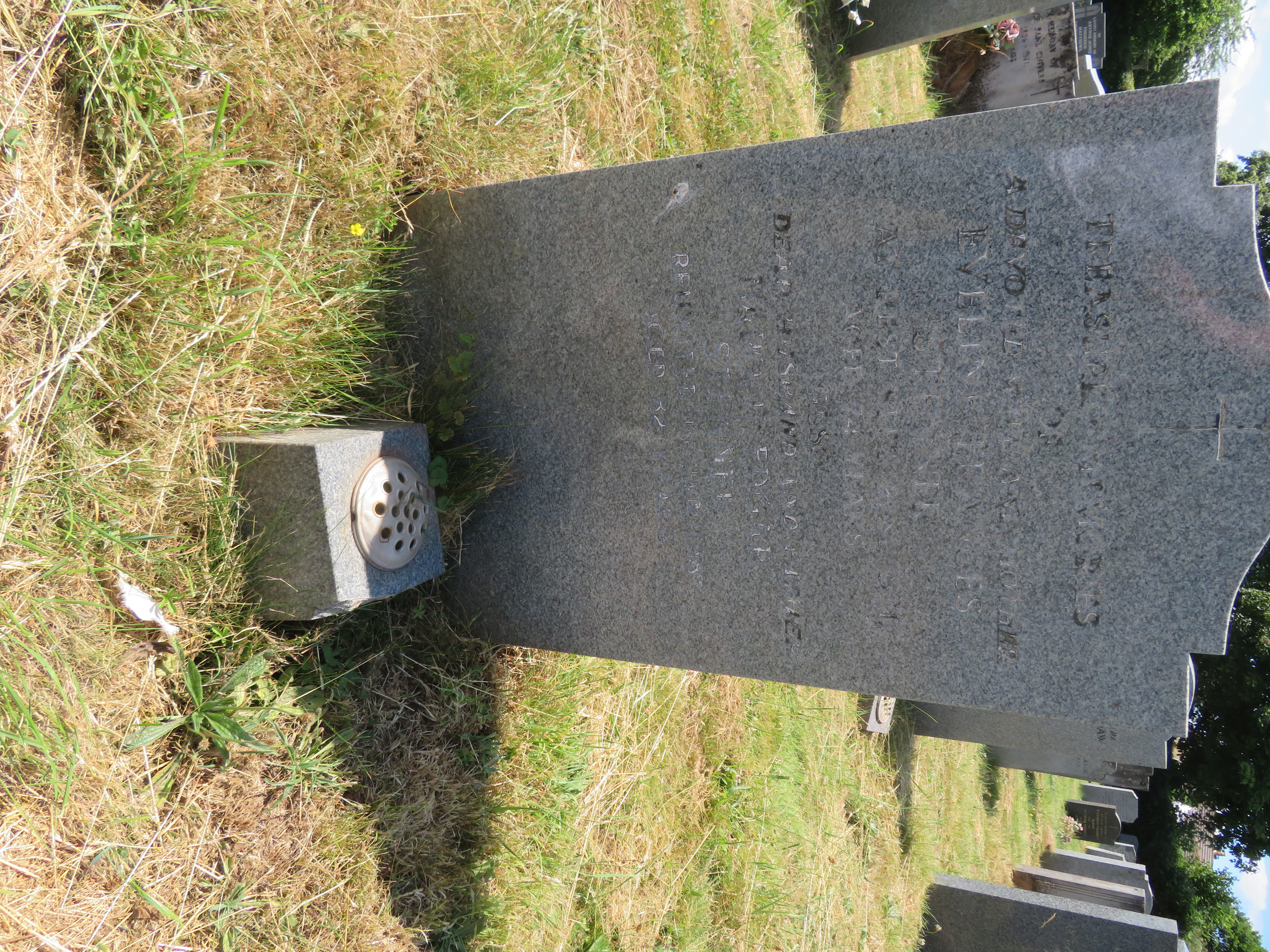 MSN-N.GG.32 1 Stenner