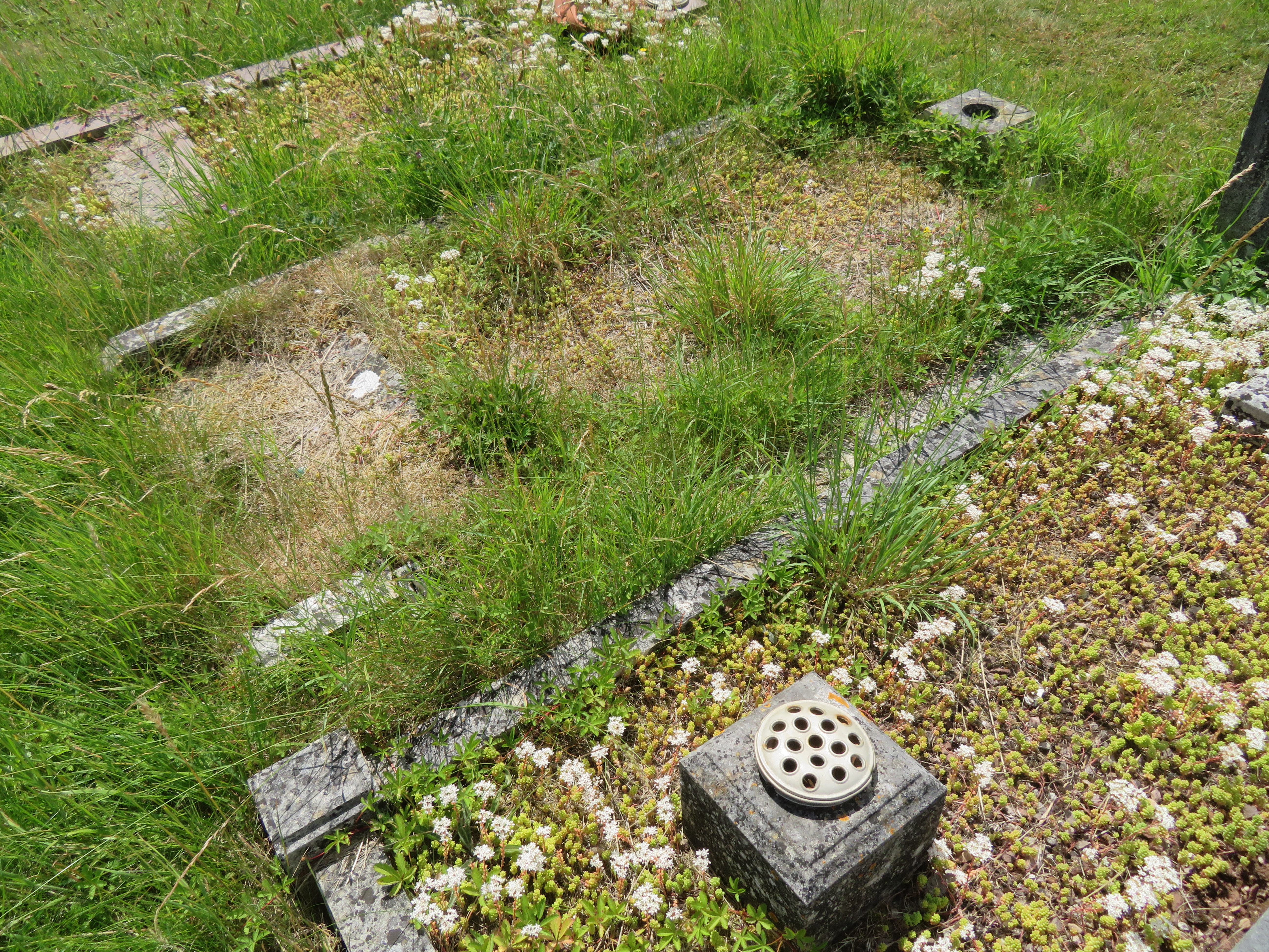 MSN-N.H.21 1 Carpenter