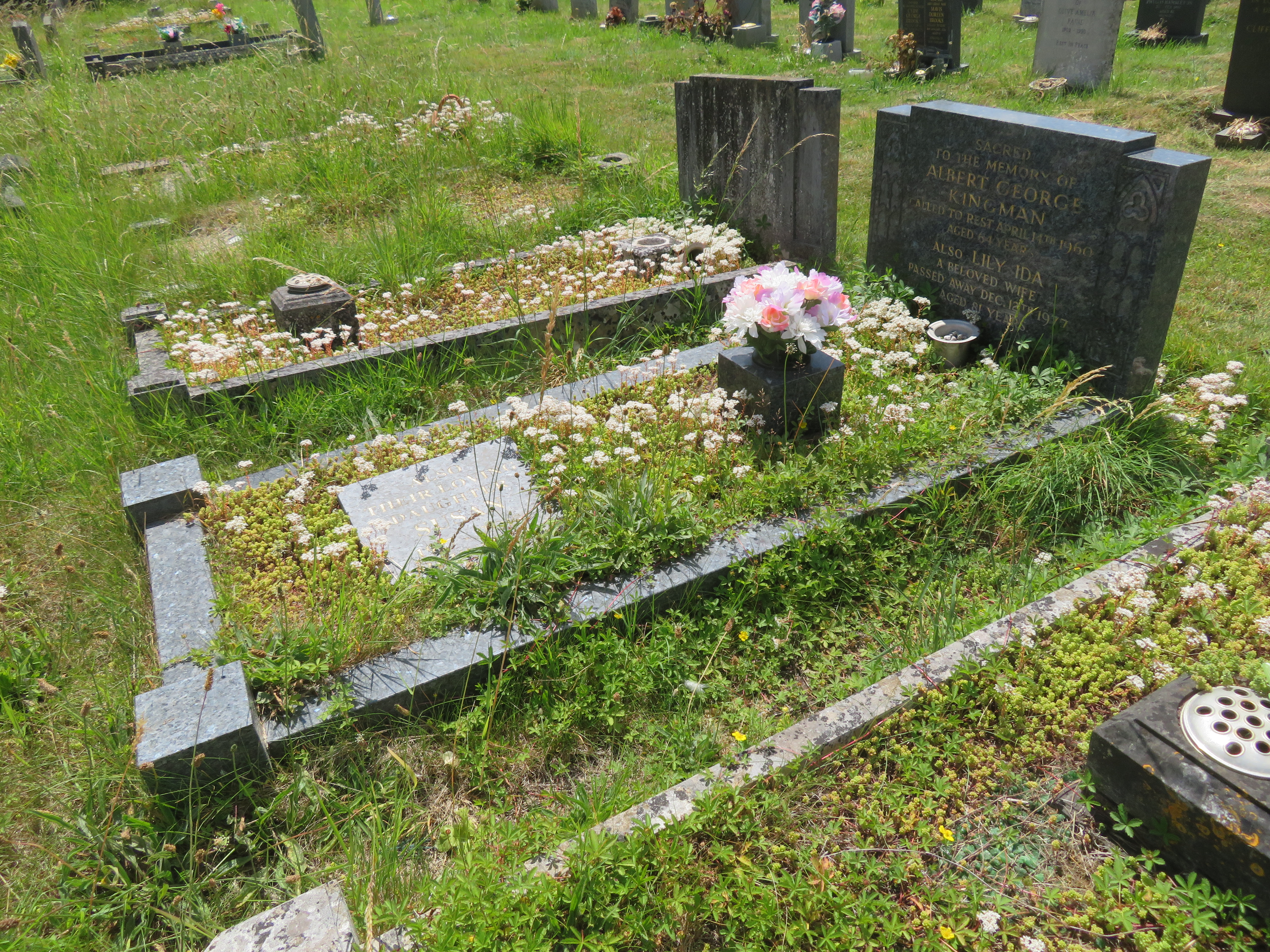 MSN-N.H.23 1 Kingman