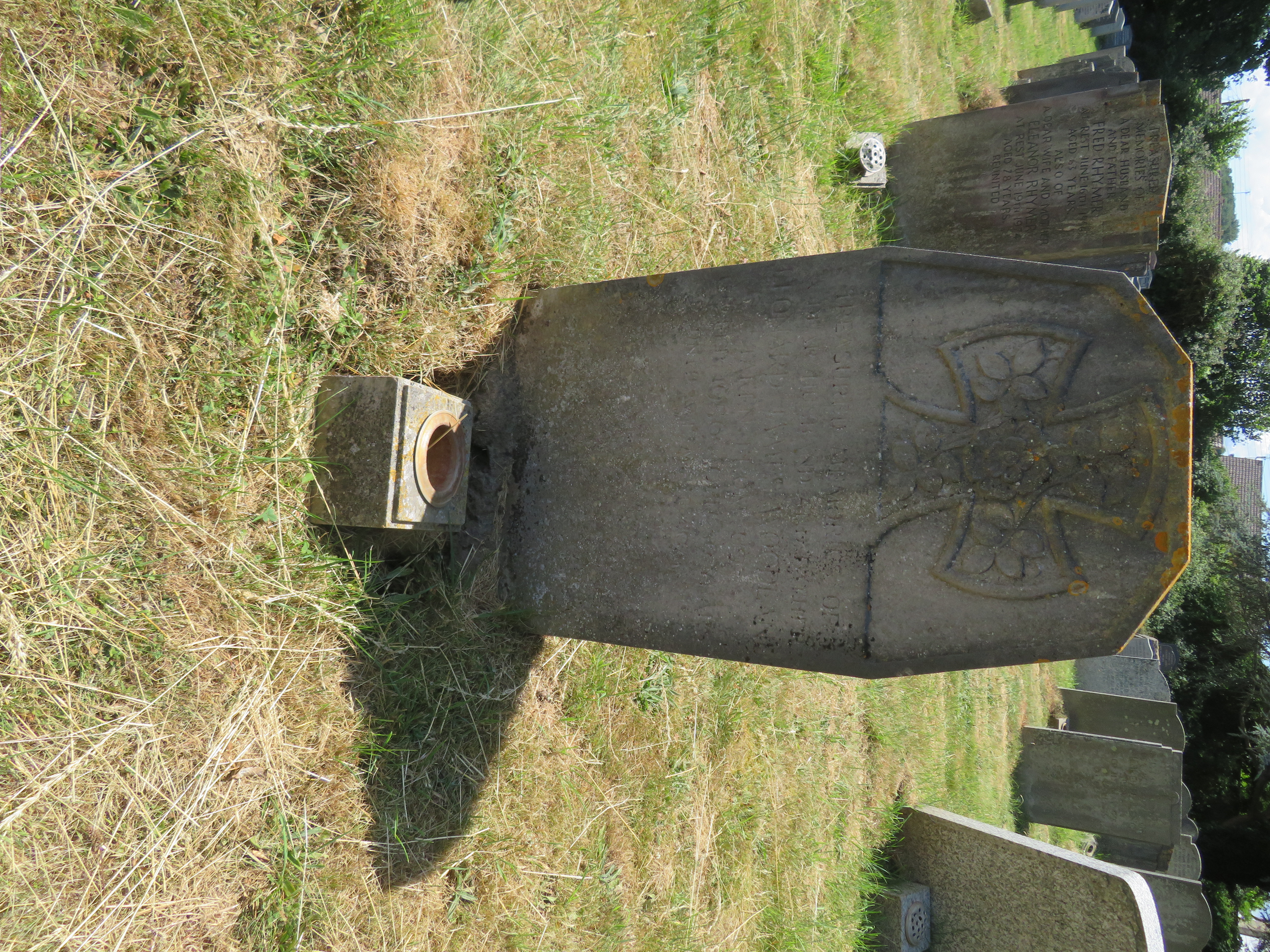 MSN-N.HH.06 1 Woodland