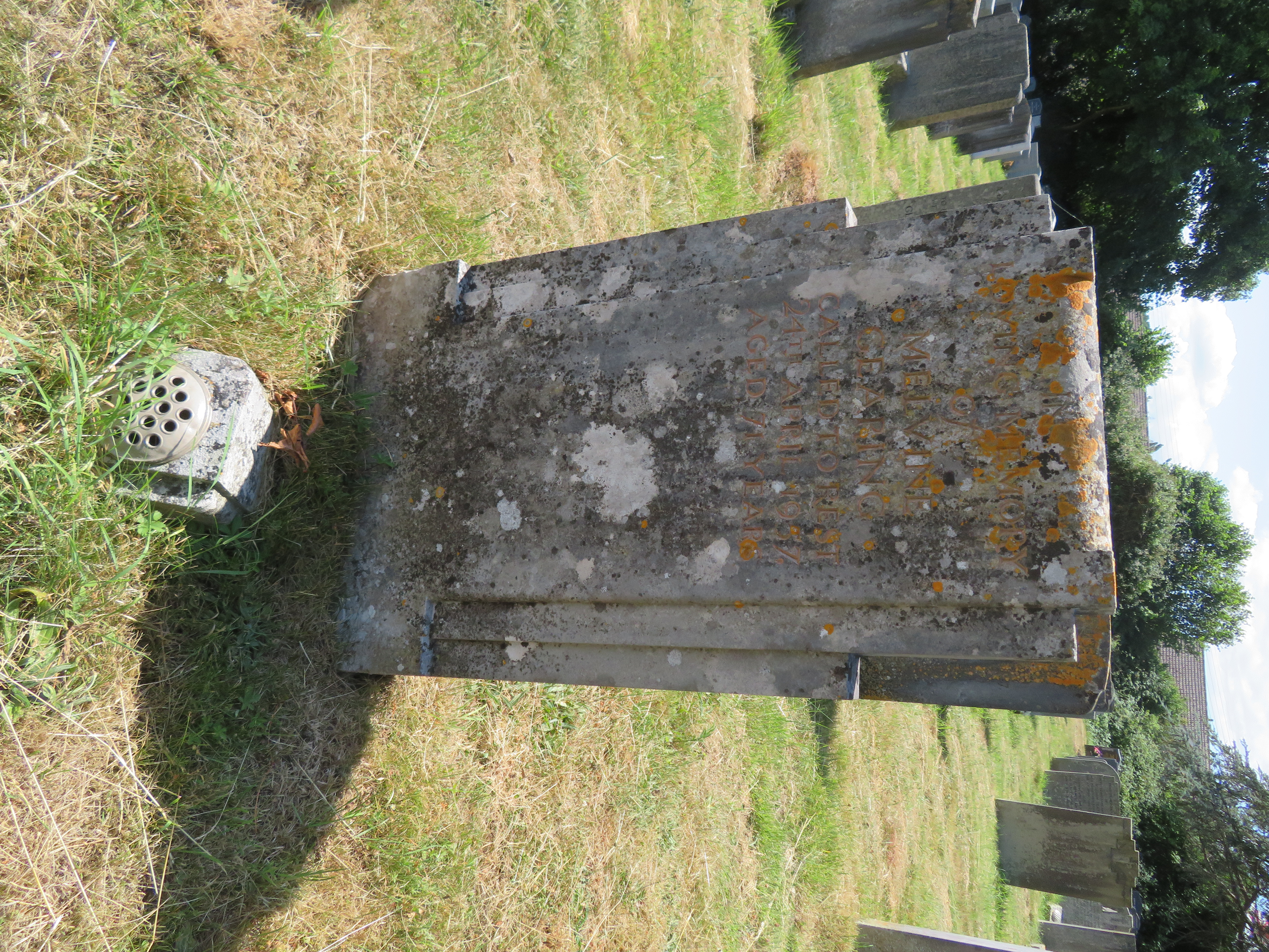 MSN-N.HH.08 1 Gearing