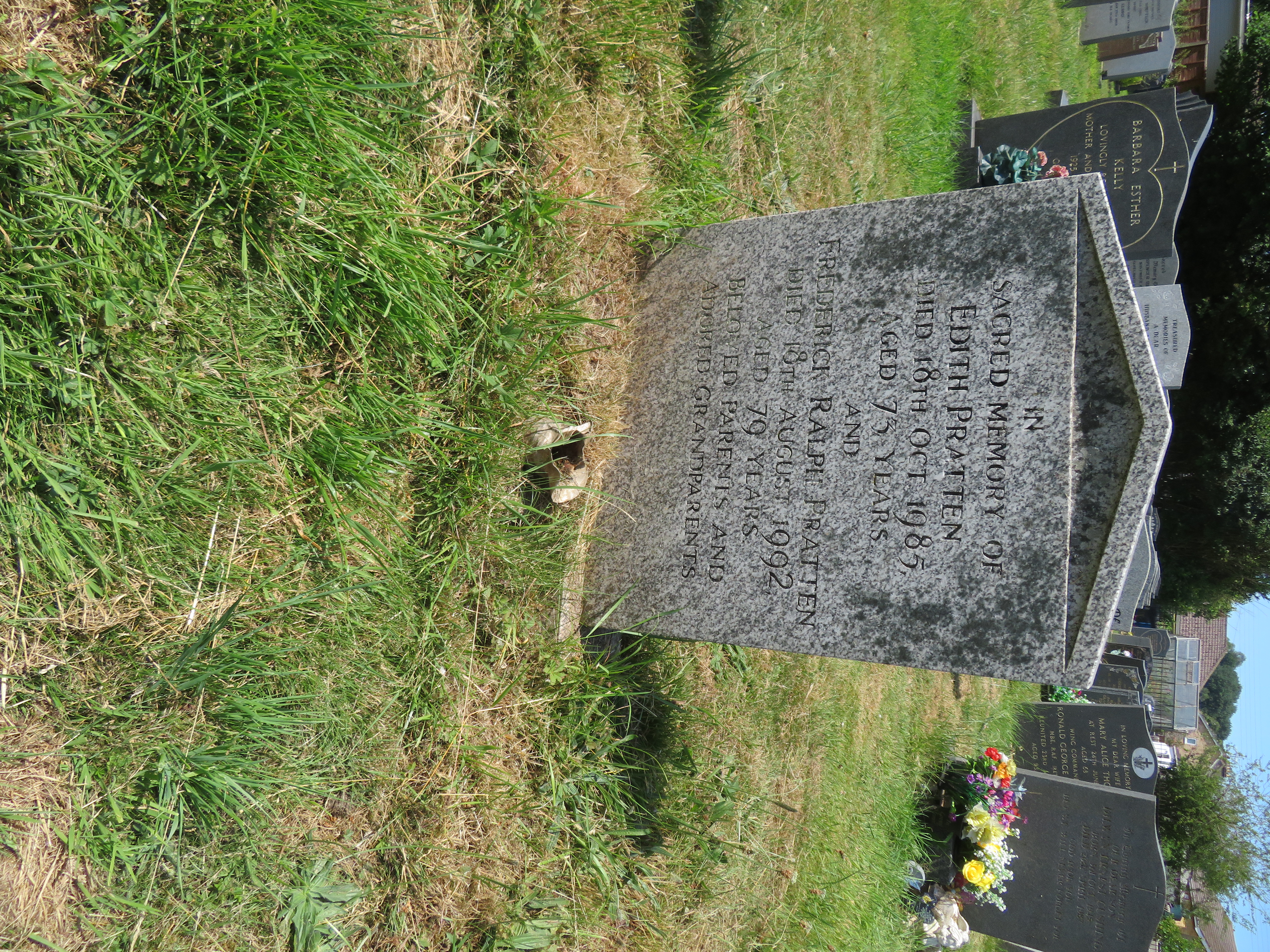 MSN-N.I.16 1 Pratten