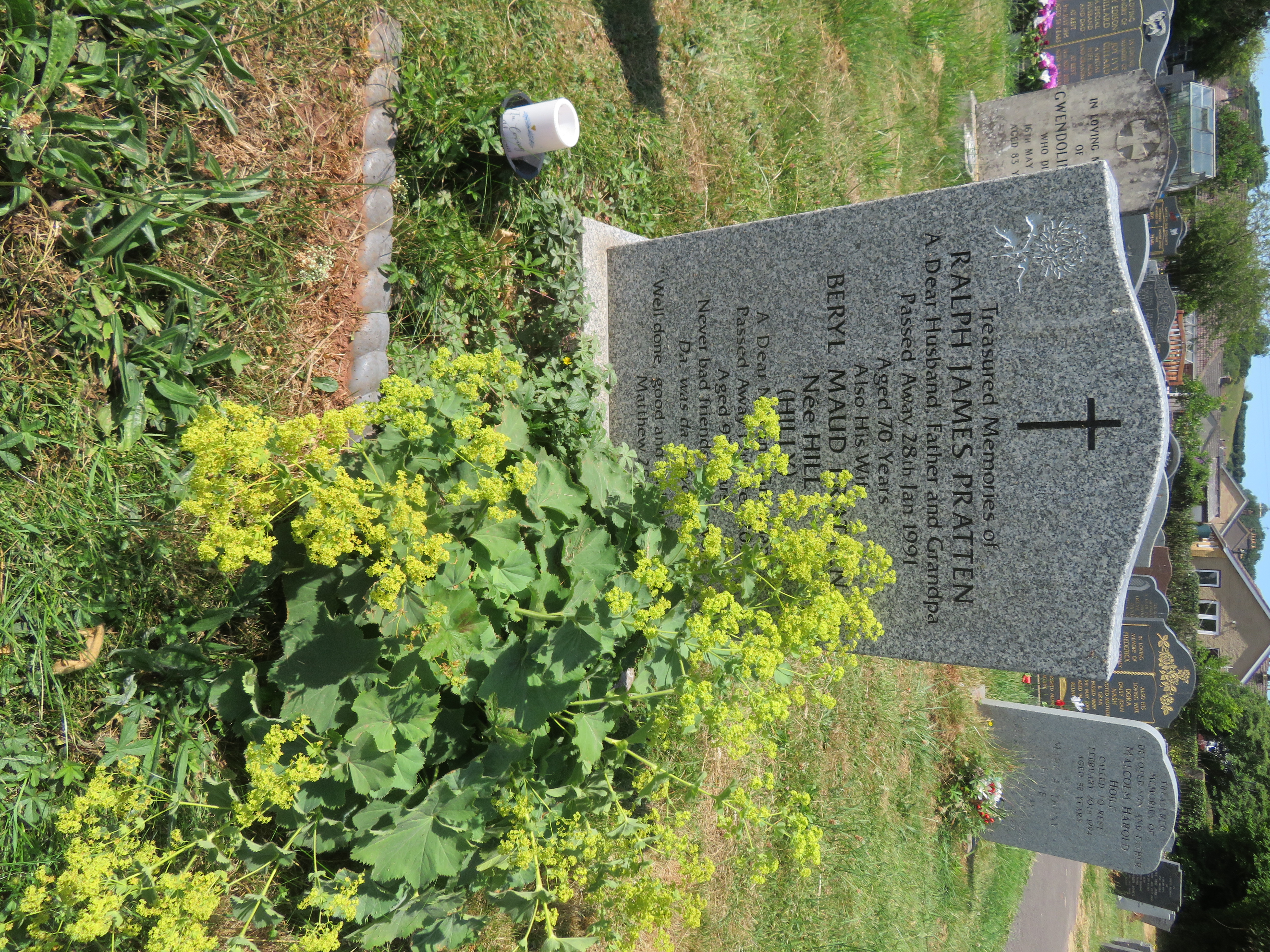 MSN-N.I.26 1 Pratten