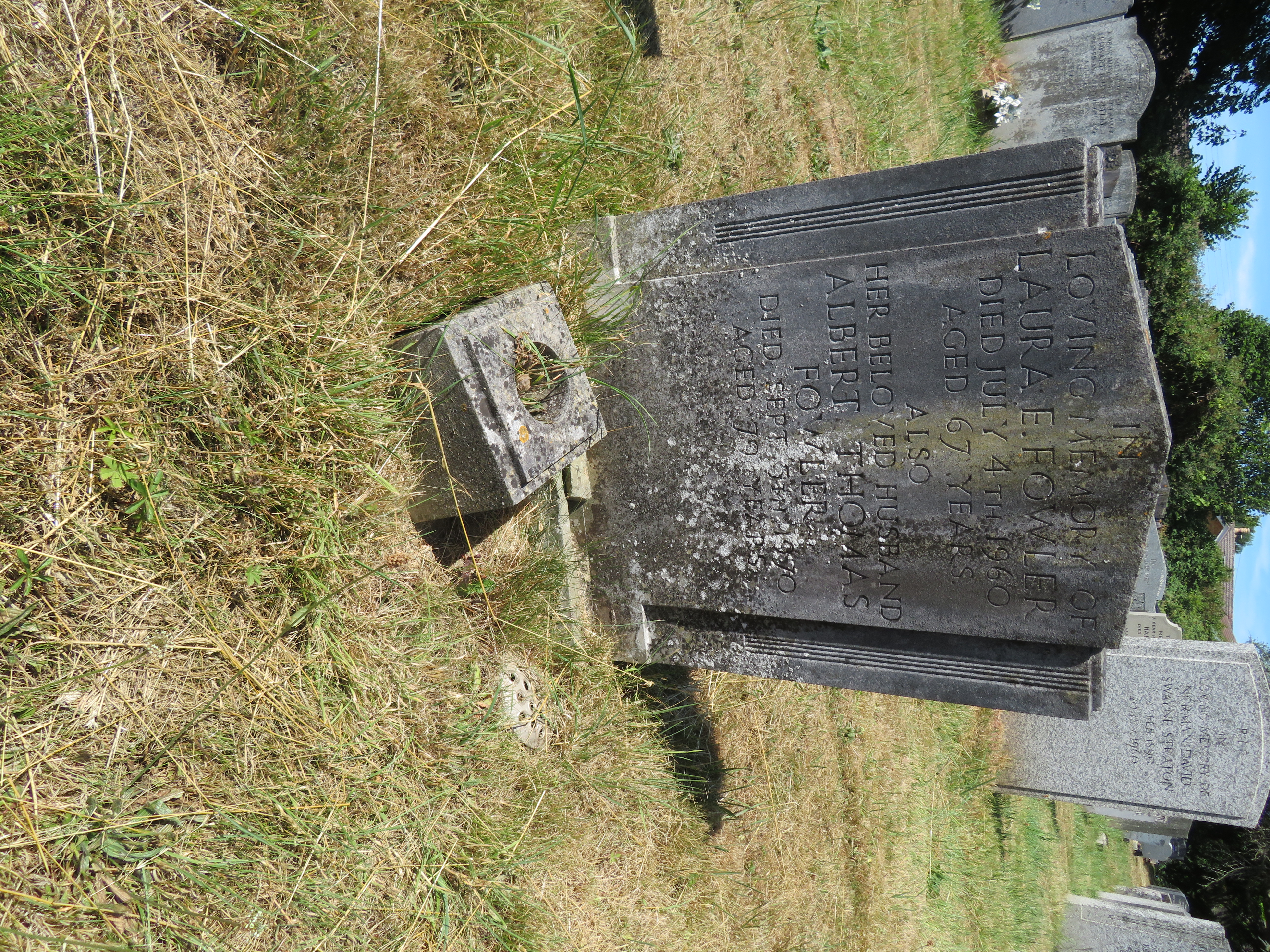 MSN-N.II.14 1 Fowler