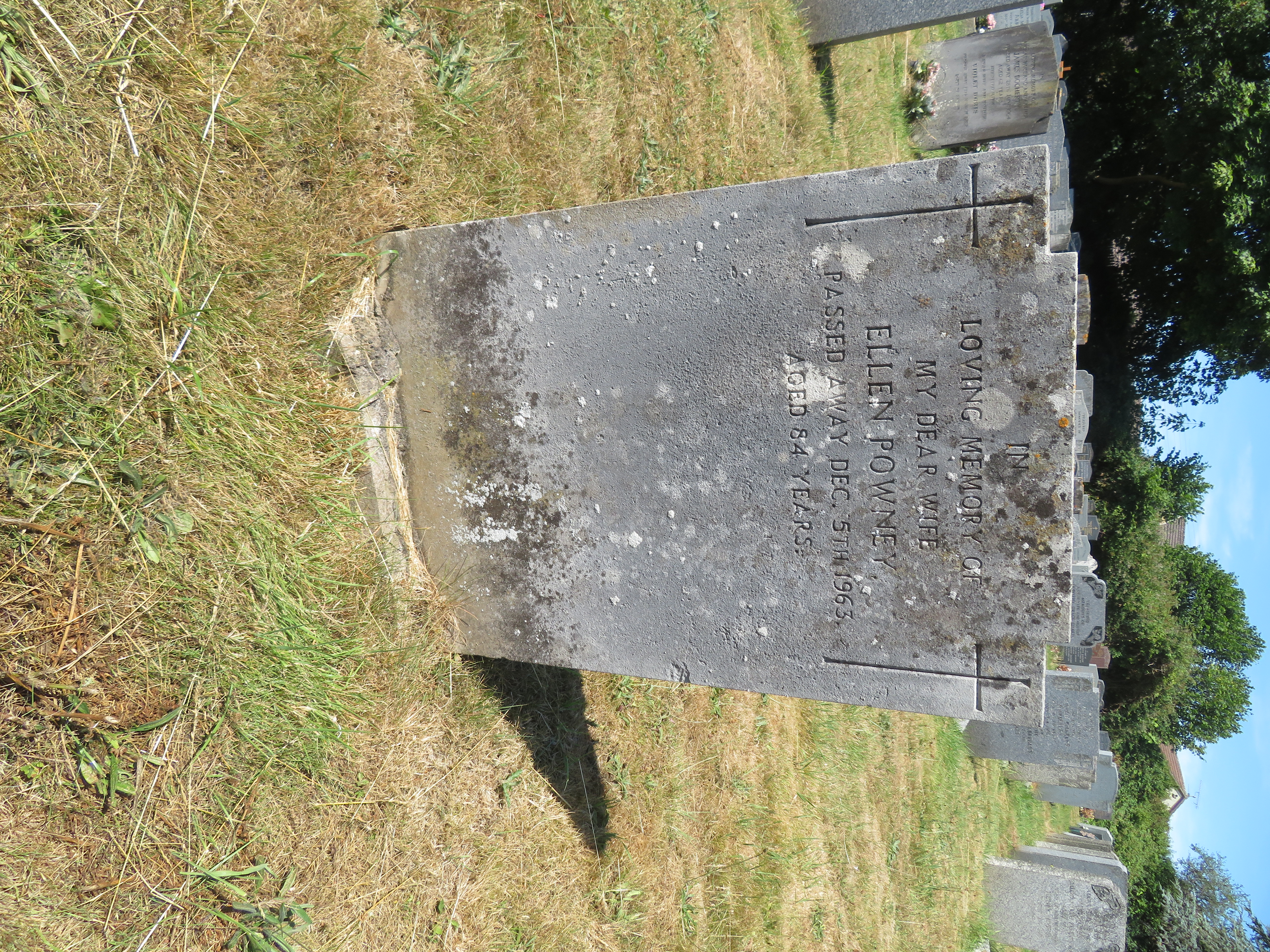 MSN-N.II.20 1 Powney