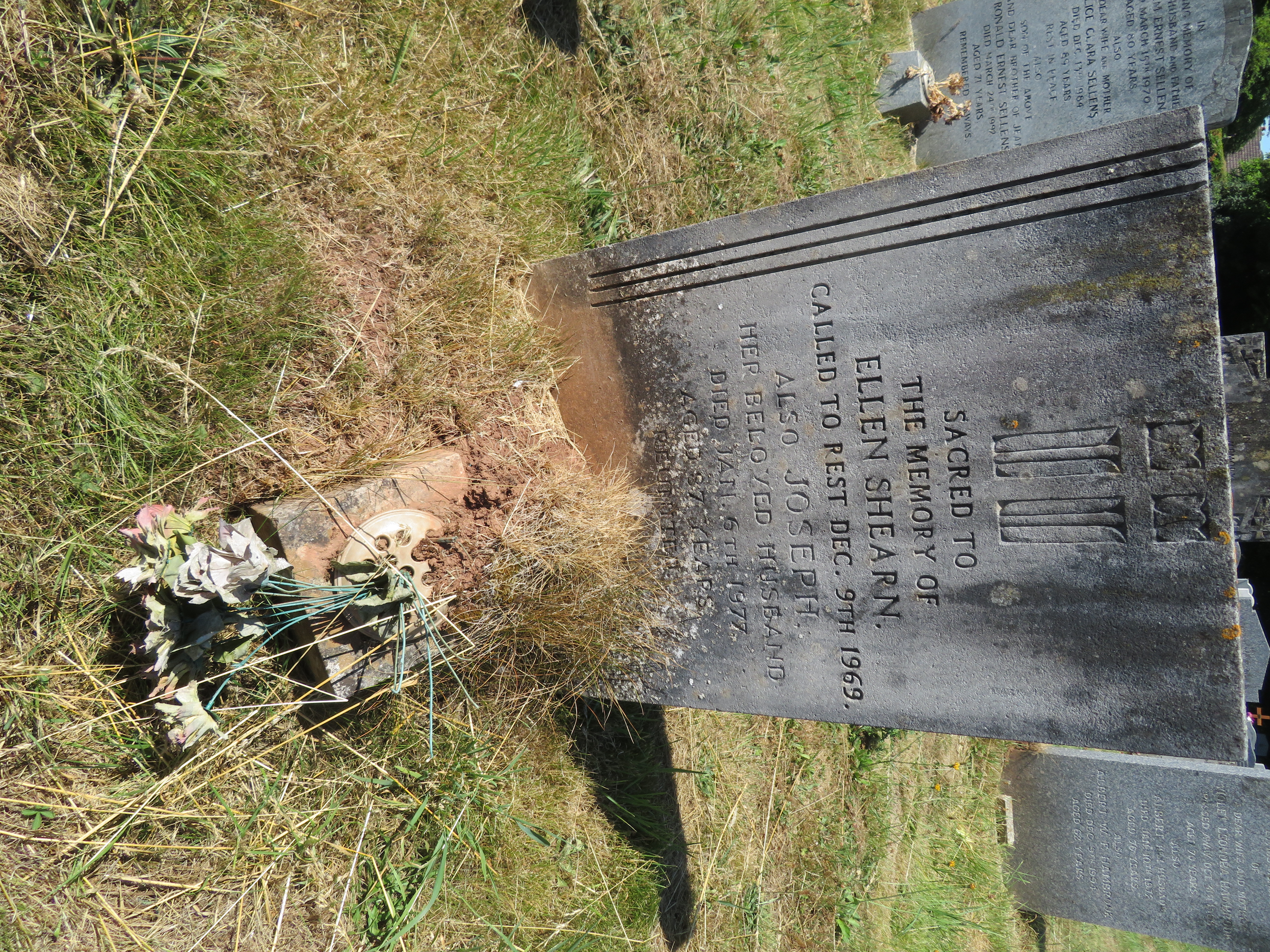 MSN-N.II.29 1 Shearn