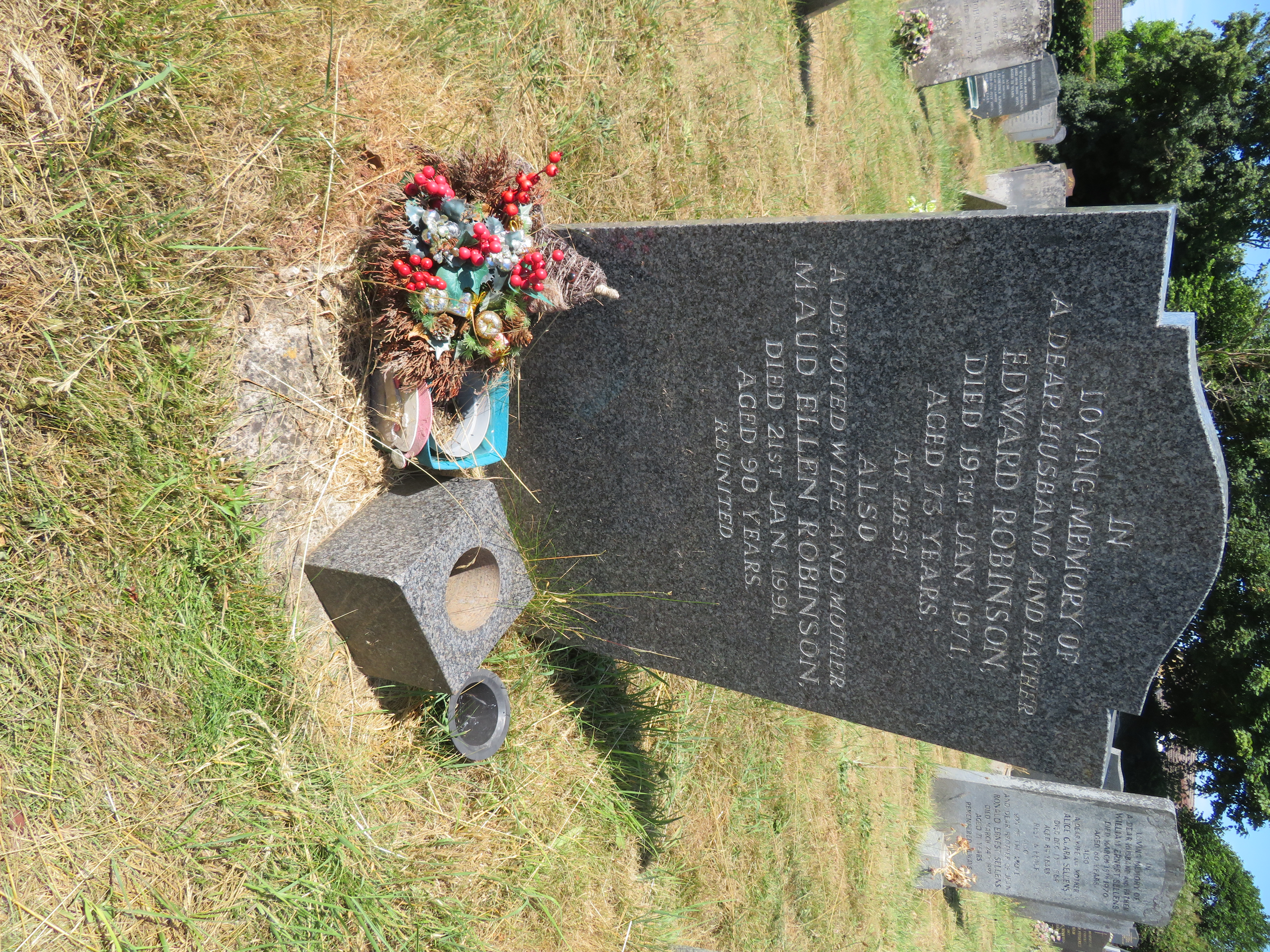 MSN-N.II.32 1 Robinson