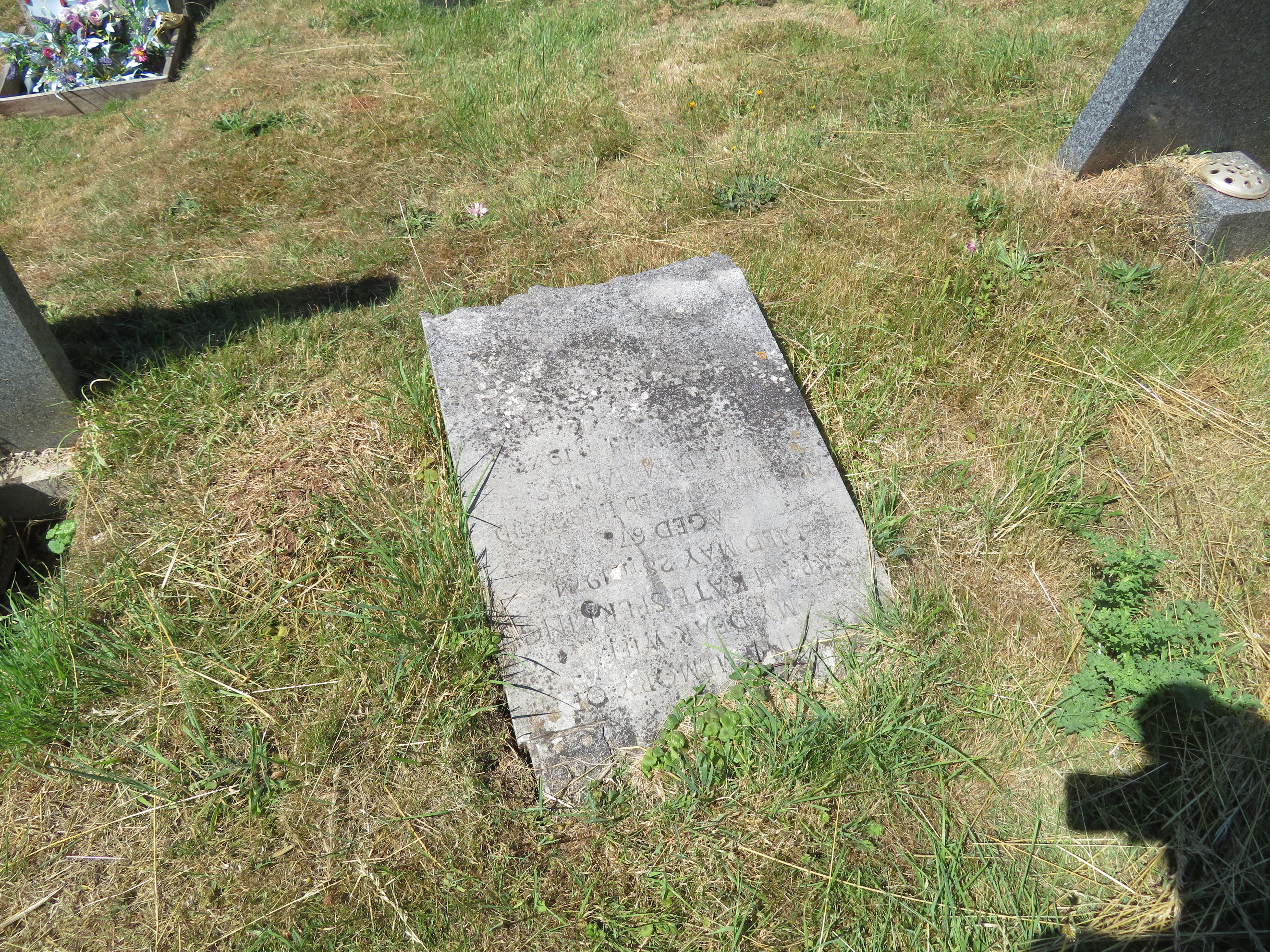 MSN-N.II.37 1 Sperring