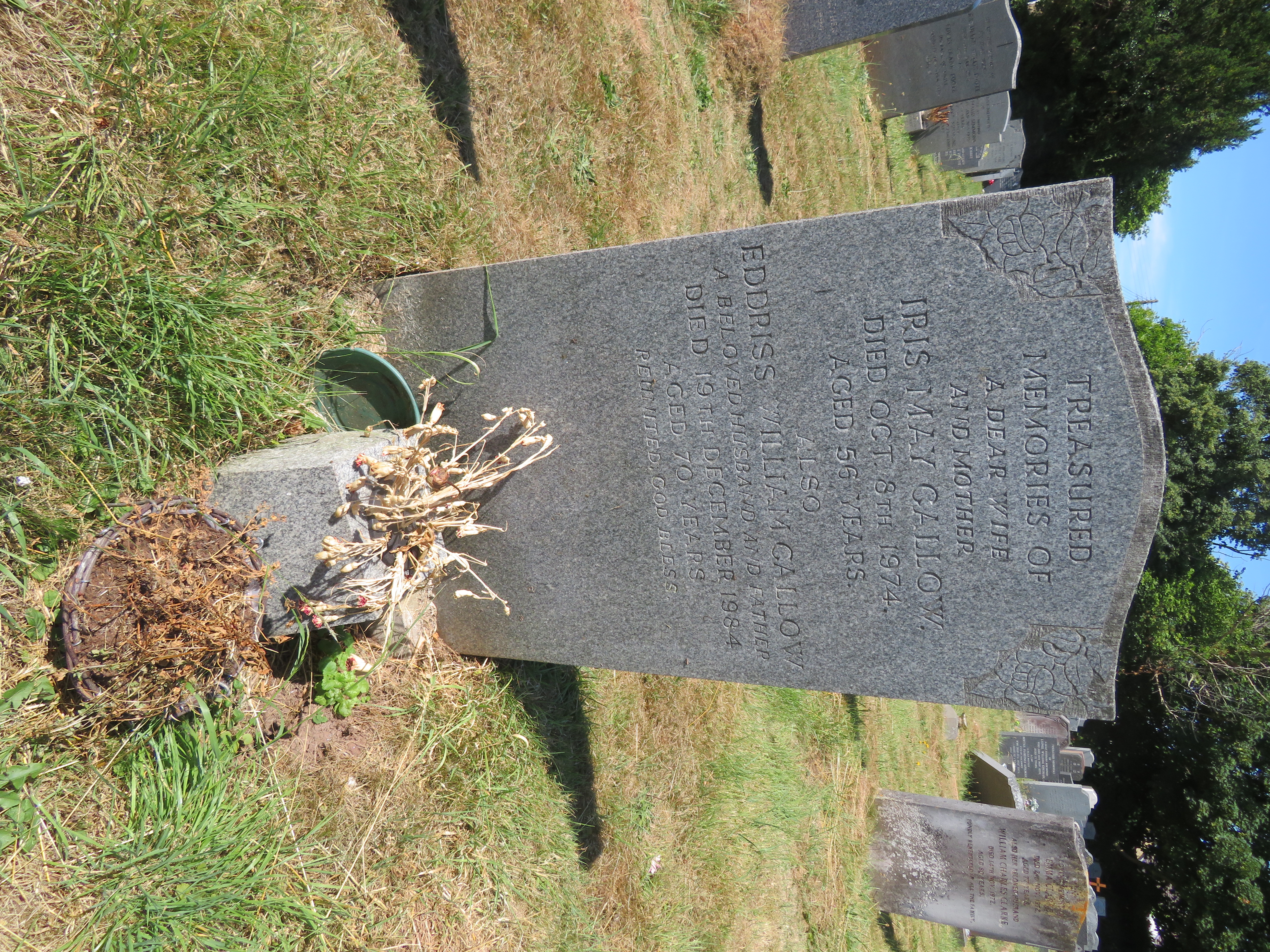 MSN-N.II.38 1 Callow