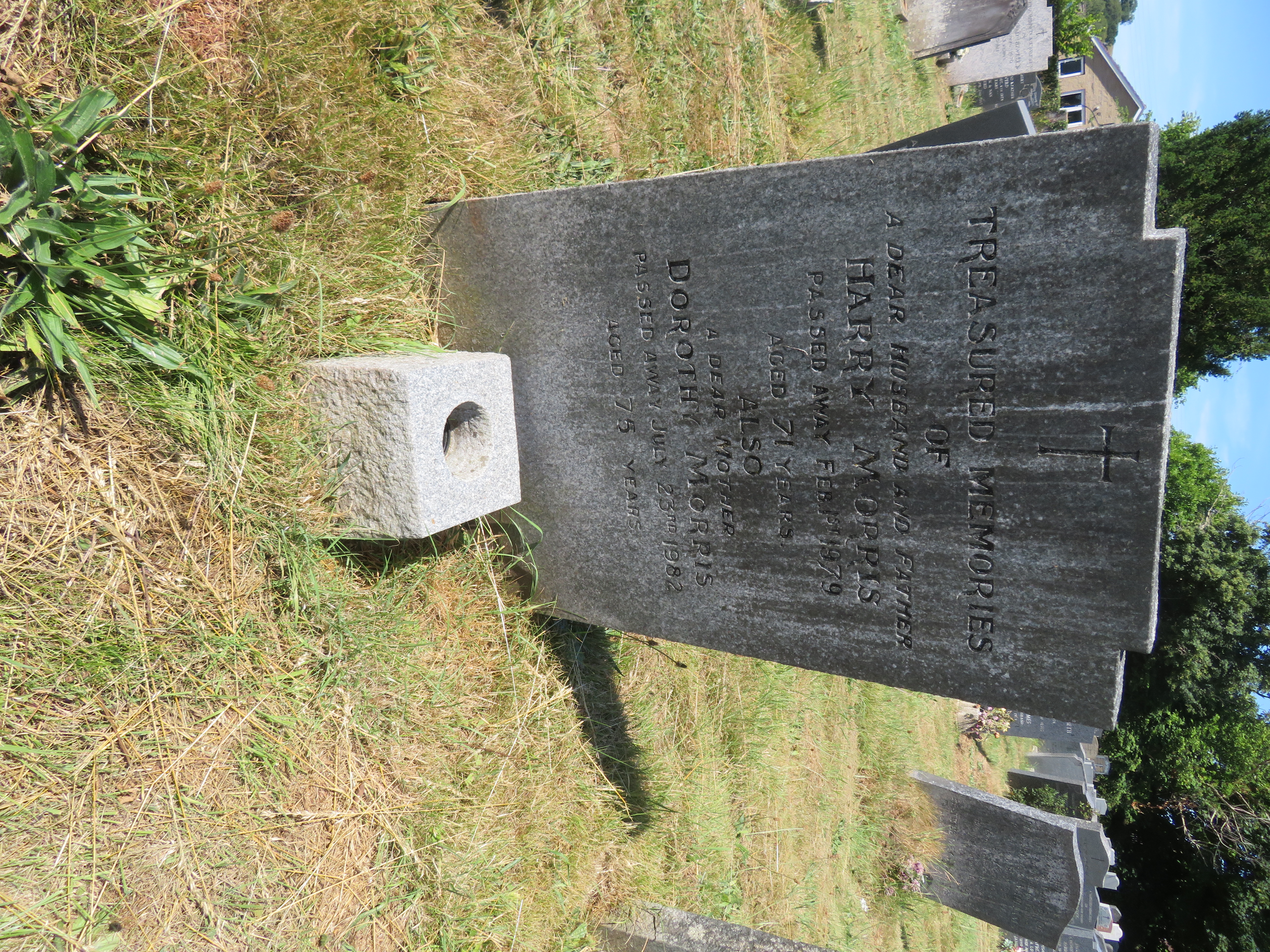 MSN-N.II.43 1 Morris