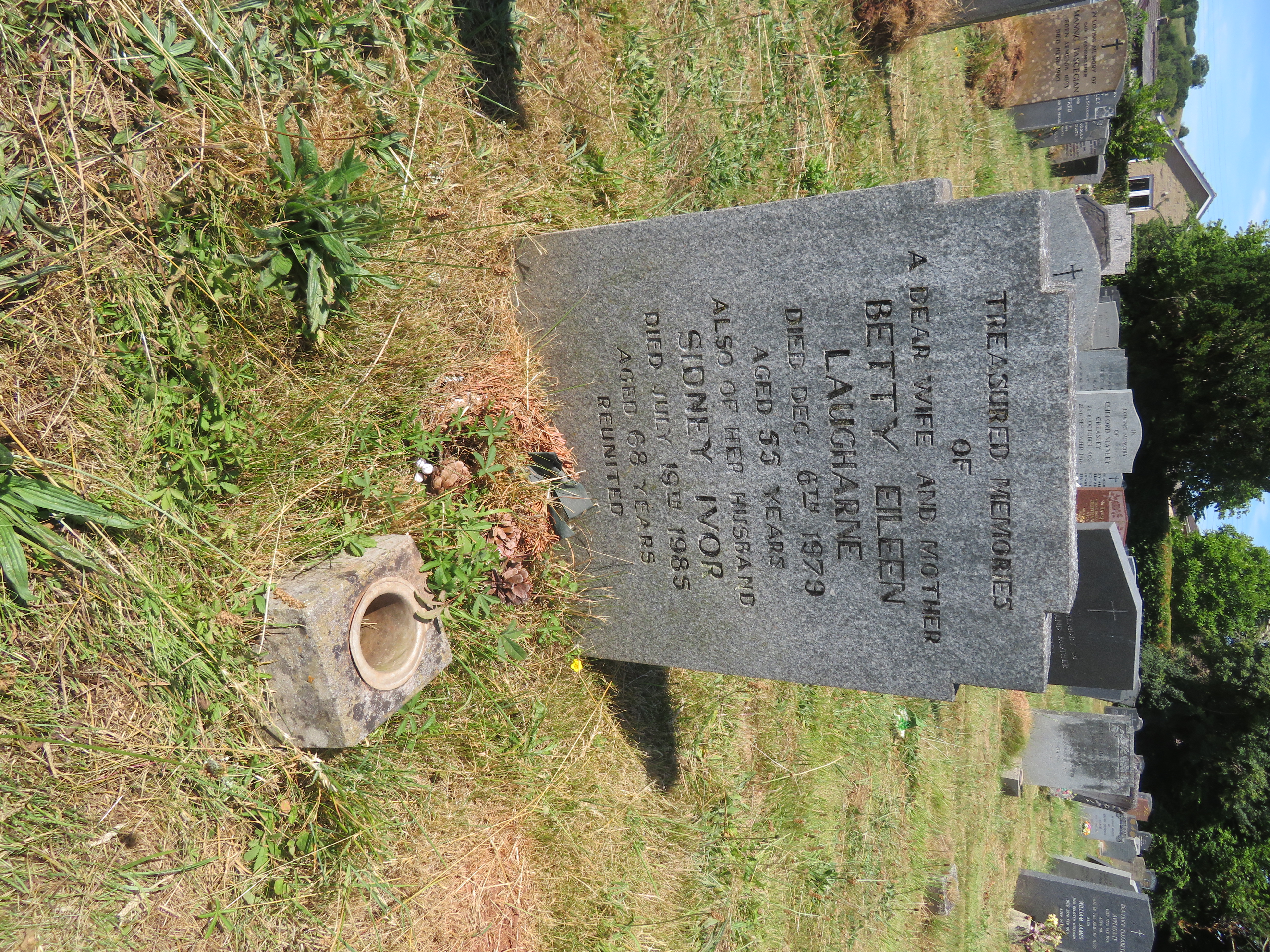 MSN-N.II.44 1 Laugharne