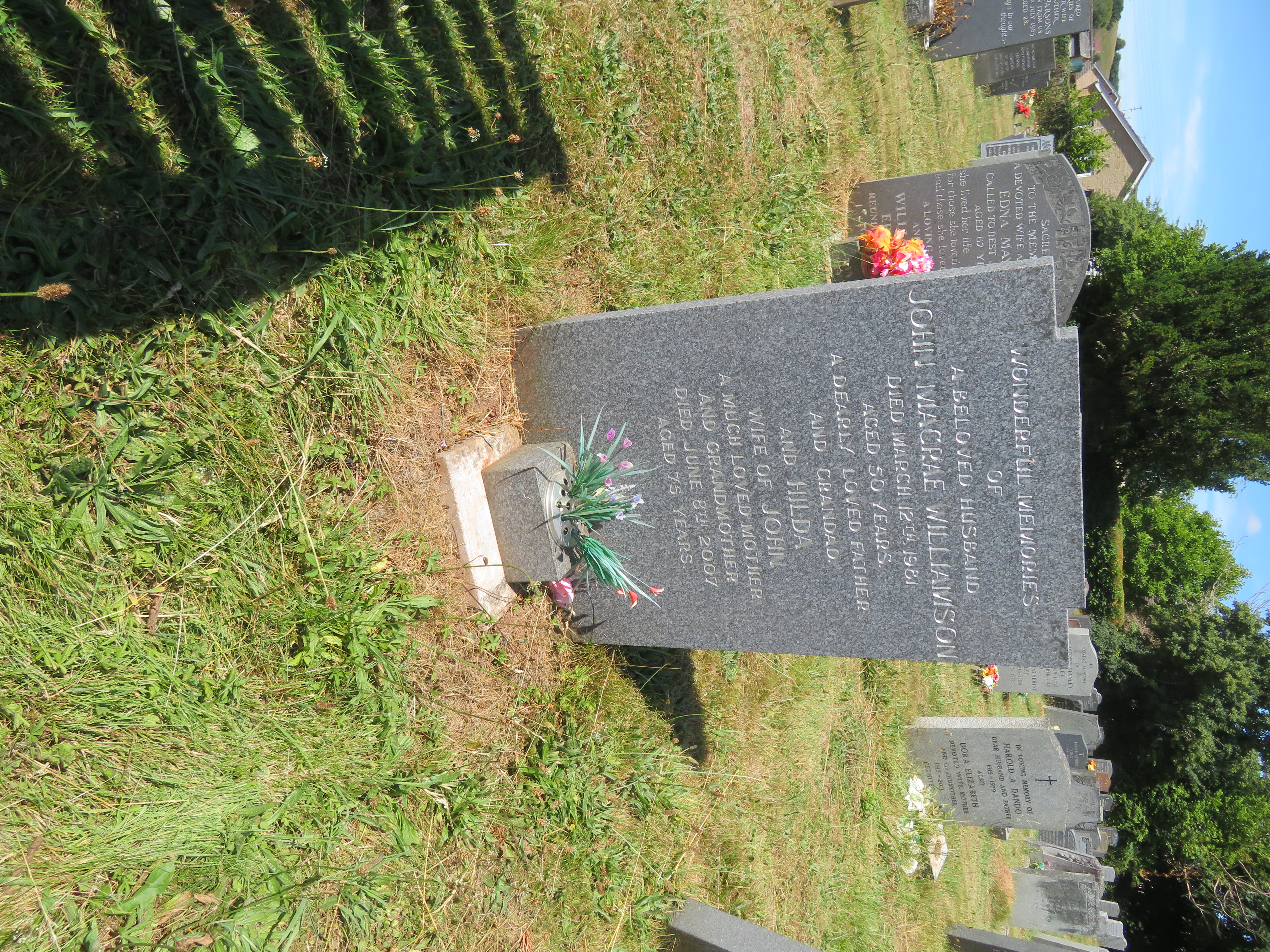 MSN-N.II.46 1 Williamson