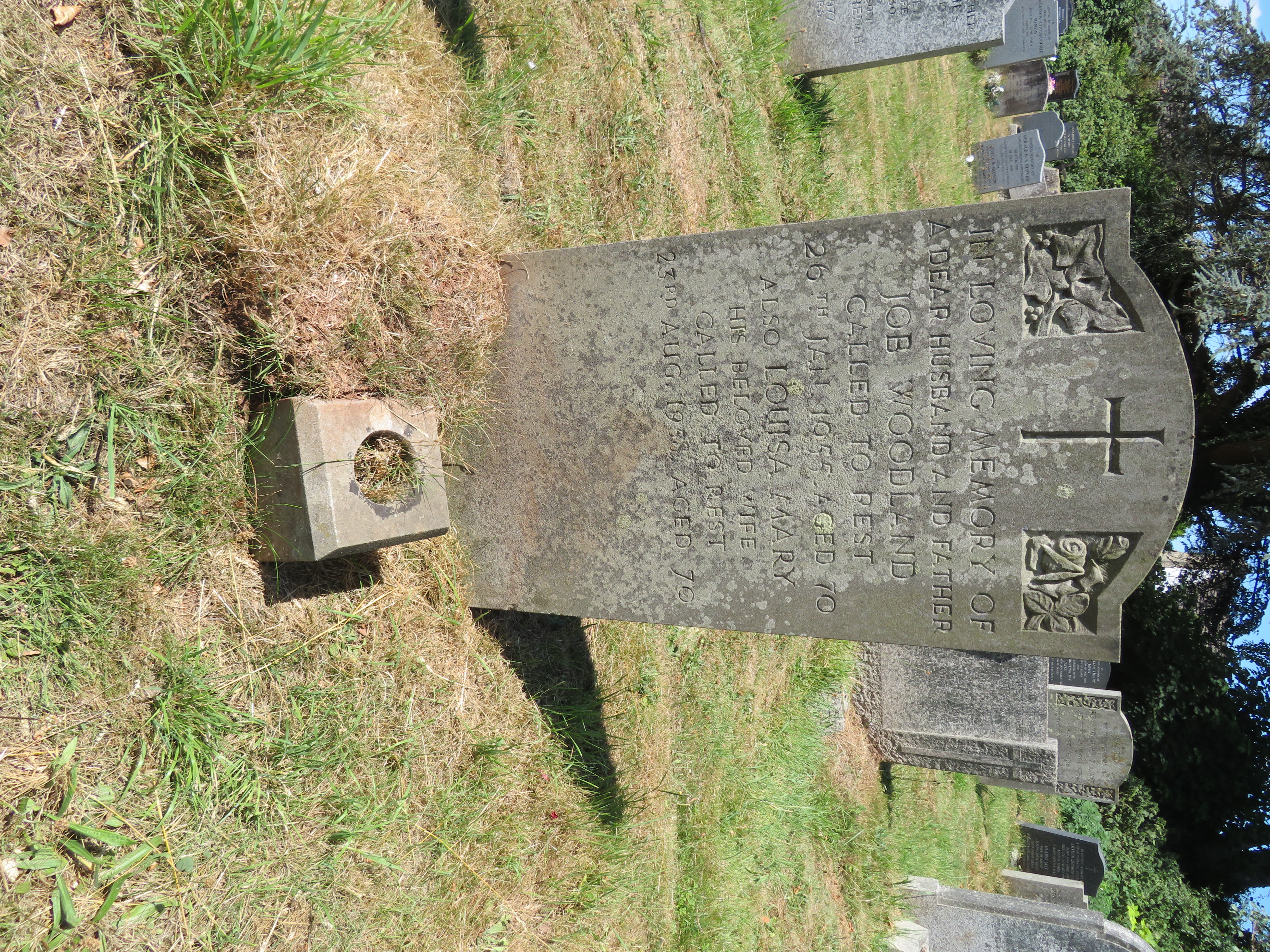 MSN-N.KK.04 1 Woodland