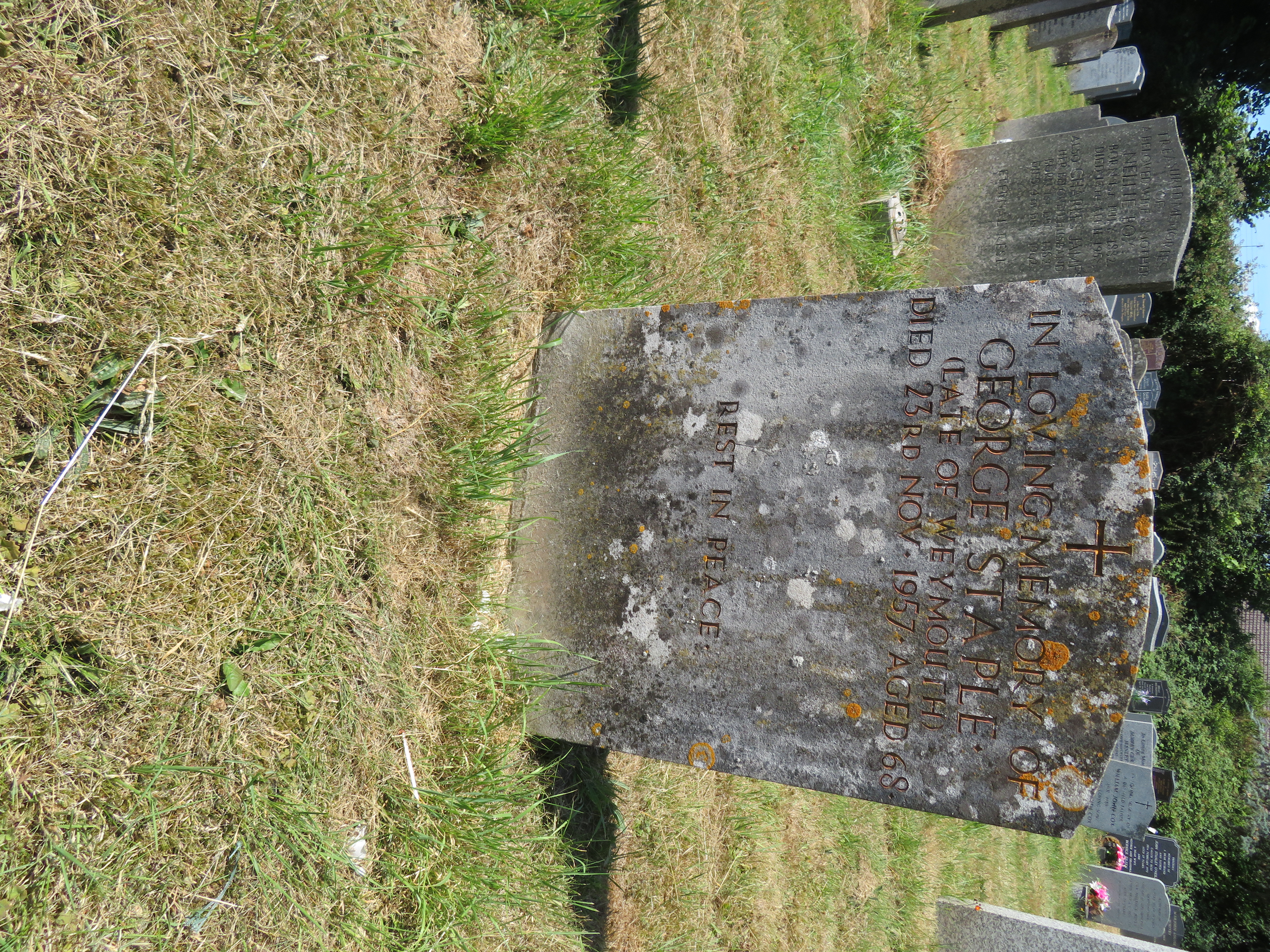 MSN-N.LL.09 1 Staple