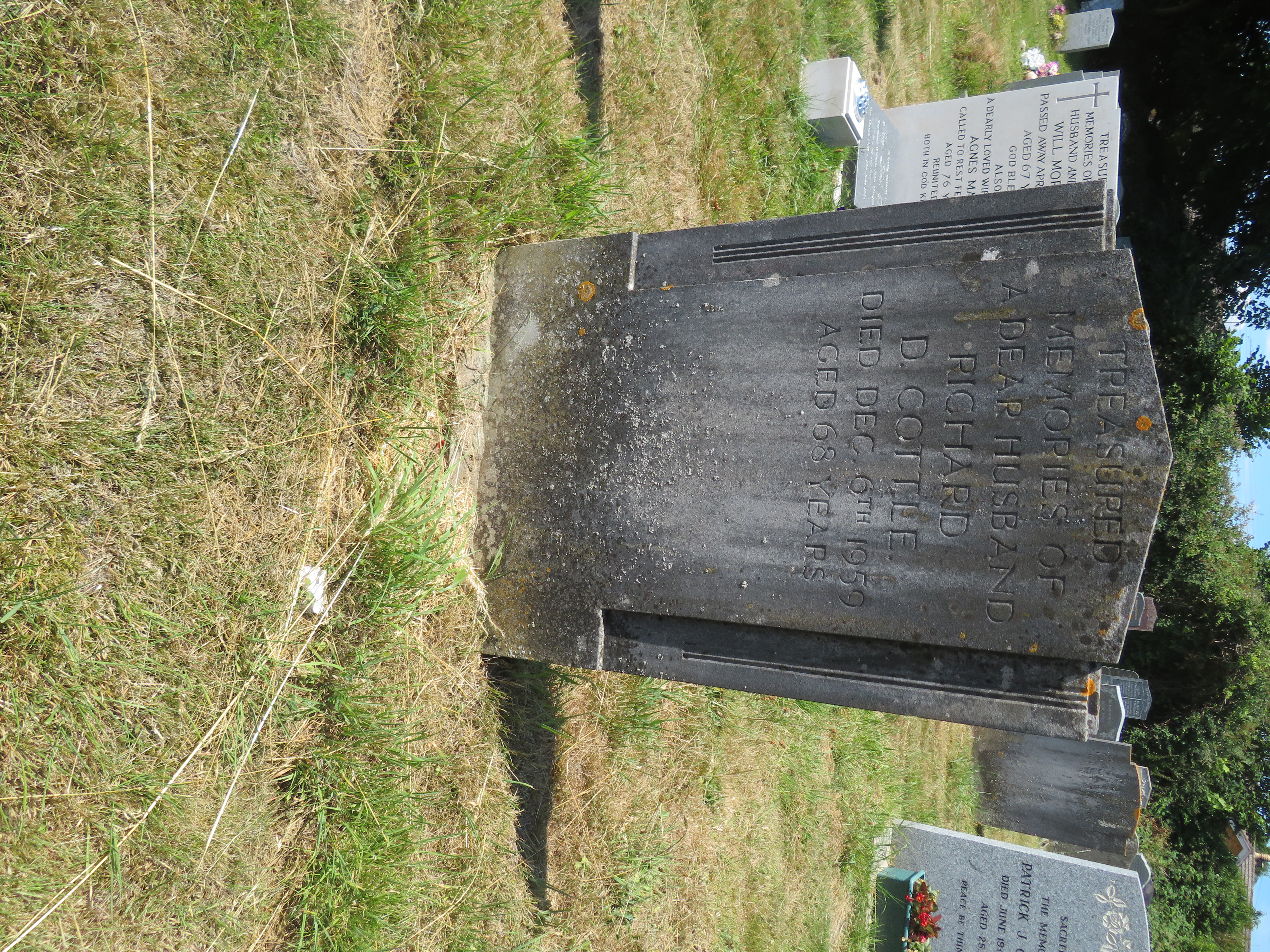 MSN-N.LL.13 1 Cottle