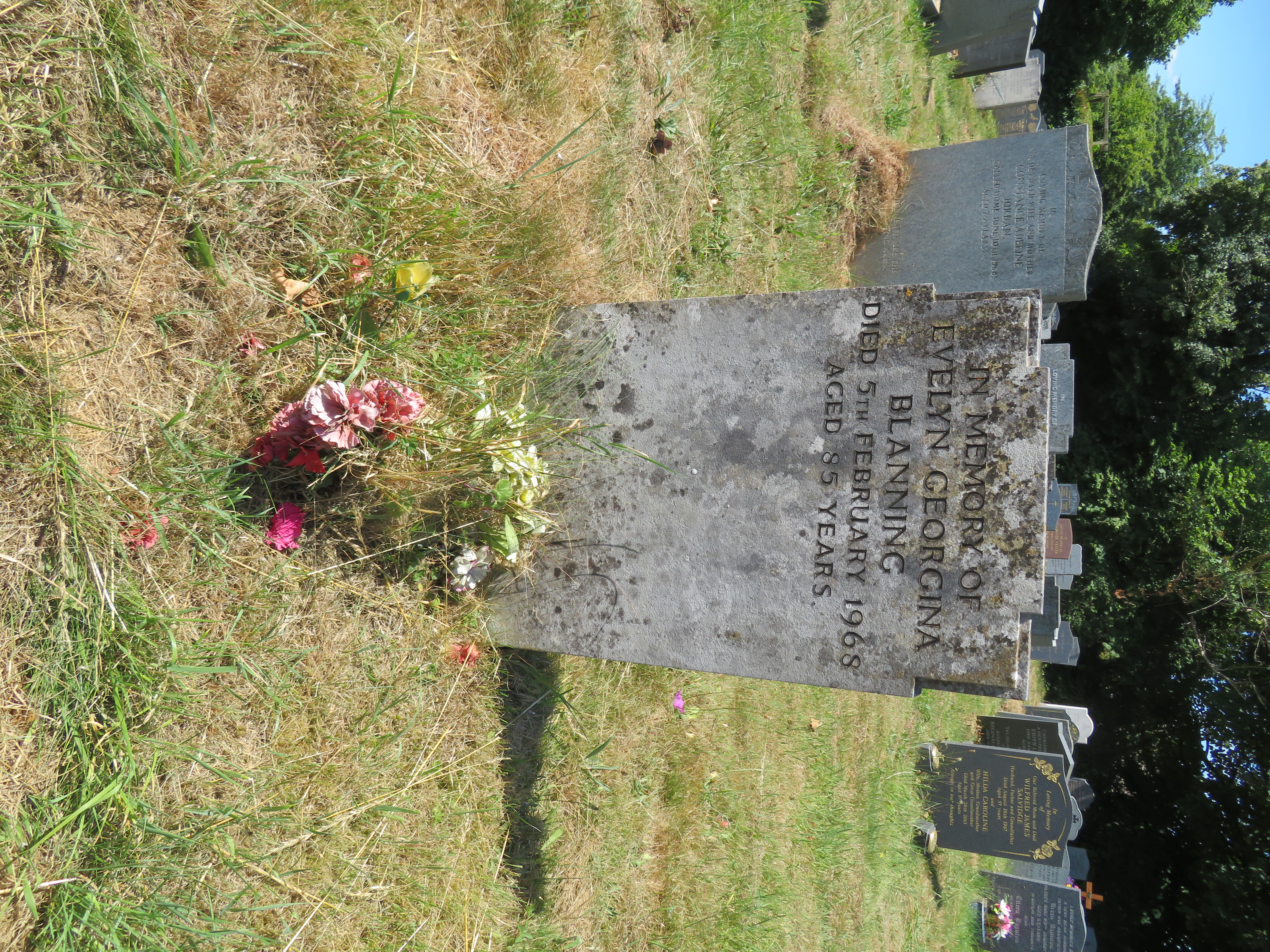 MSN-N.LL.27 1 Blanning