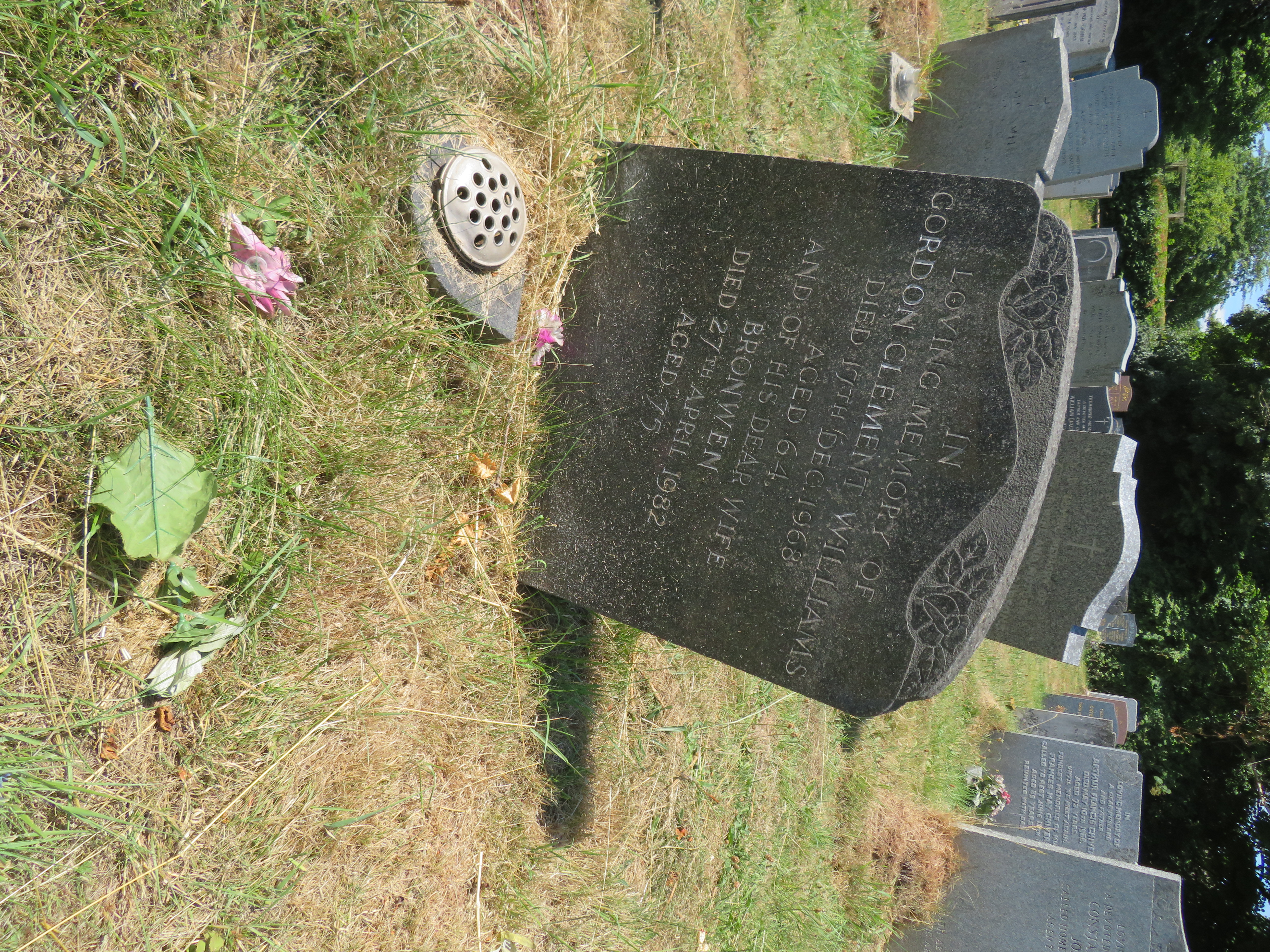 MSN-N.LL.29 1 Williams