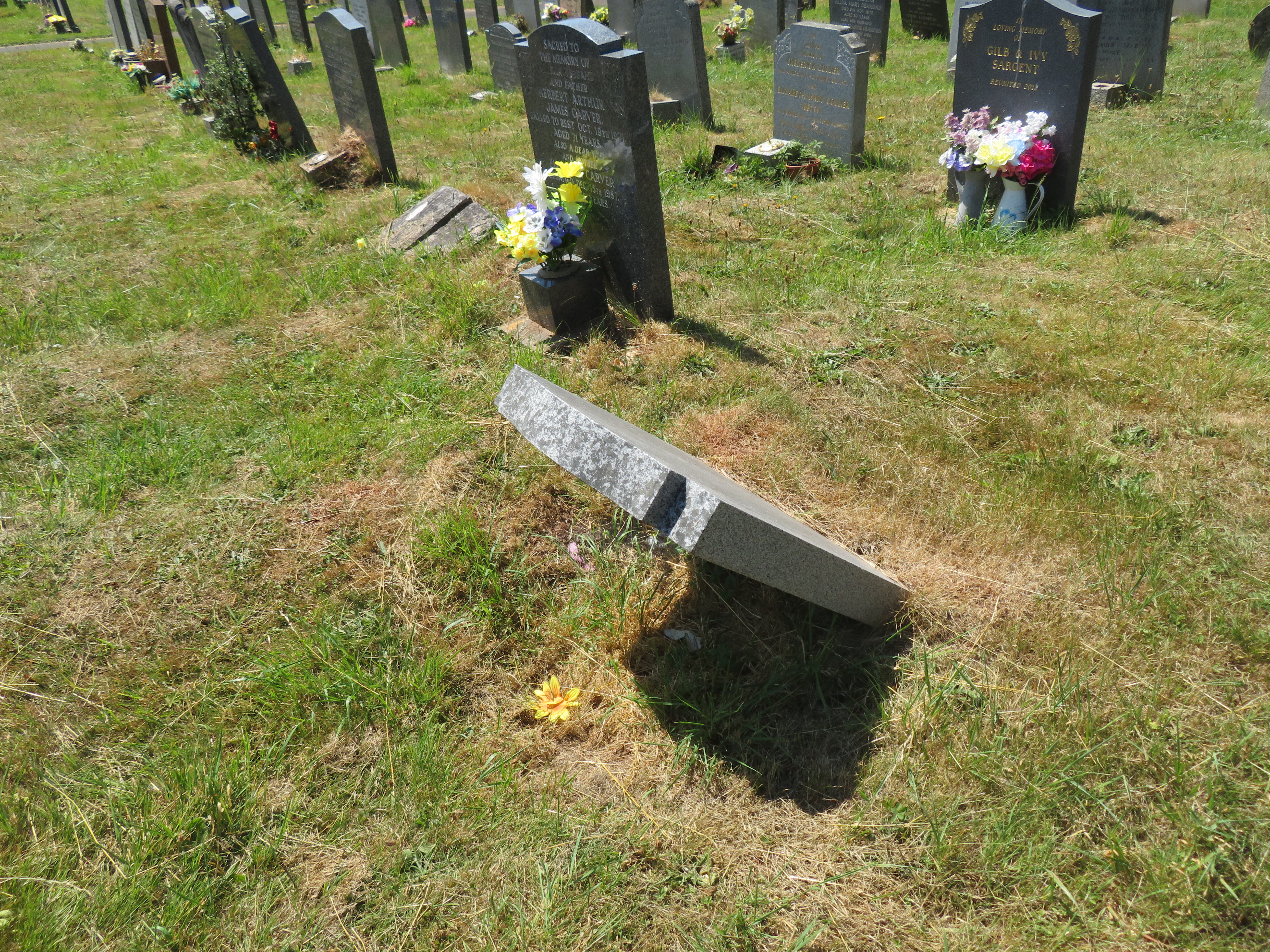 MSN-N.LL.34 1 Taylor