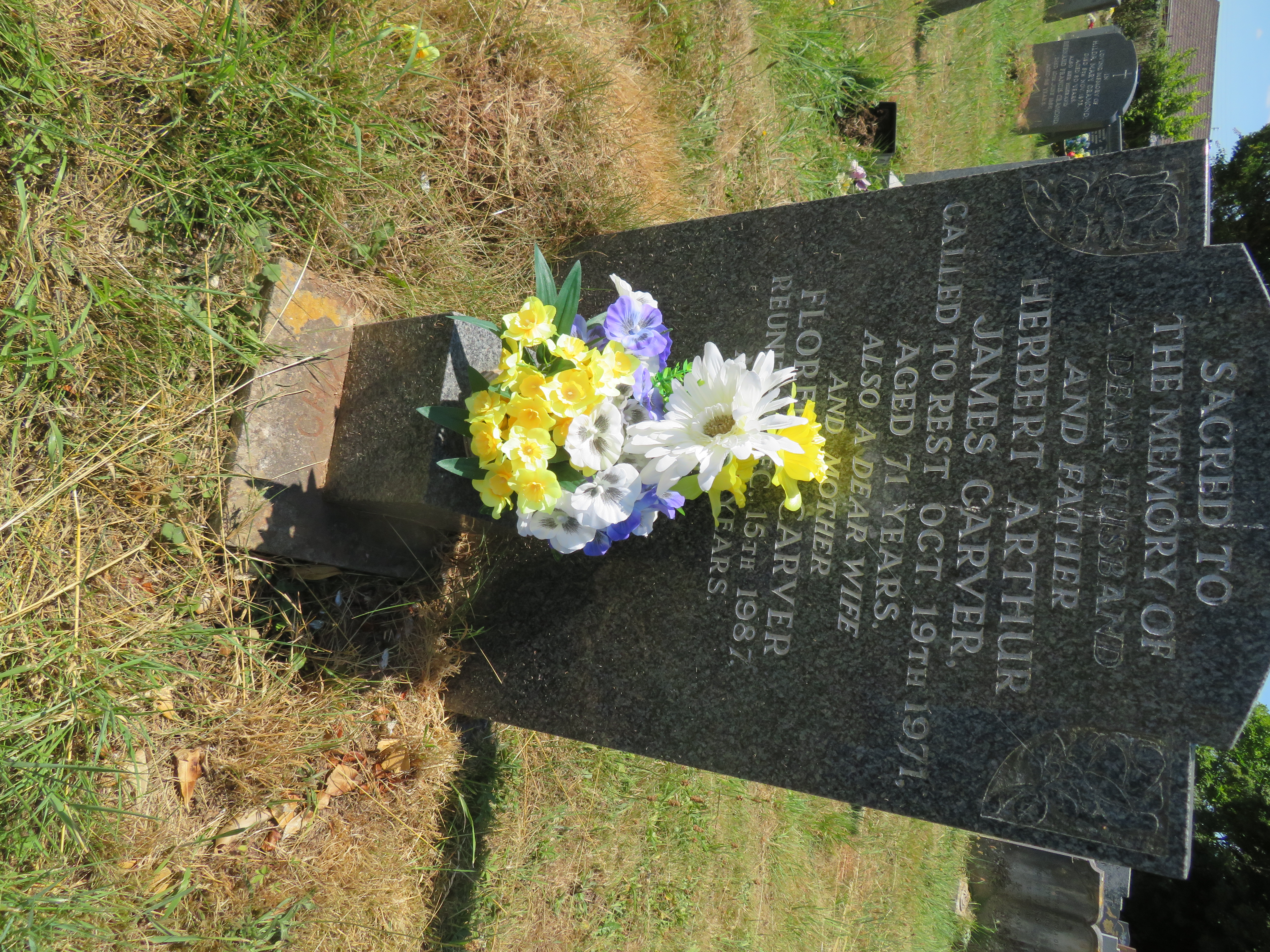 MSN-N.LL.35 1 Carver