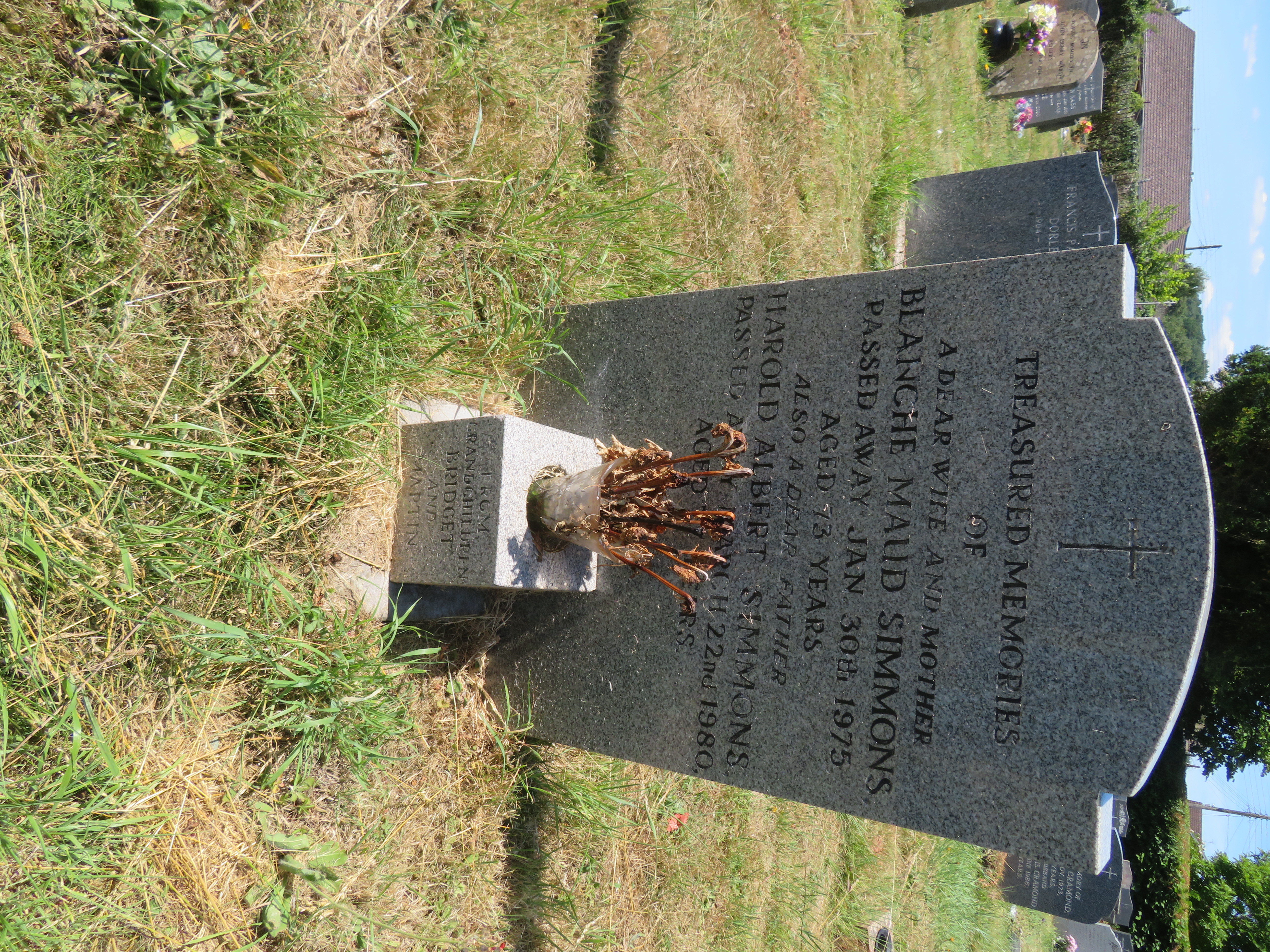 MSN-N.LL.39 1 Simmons