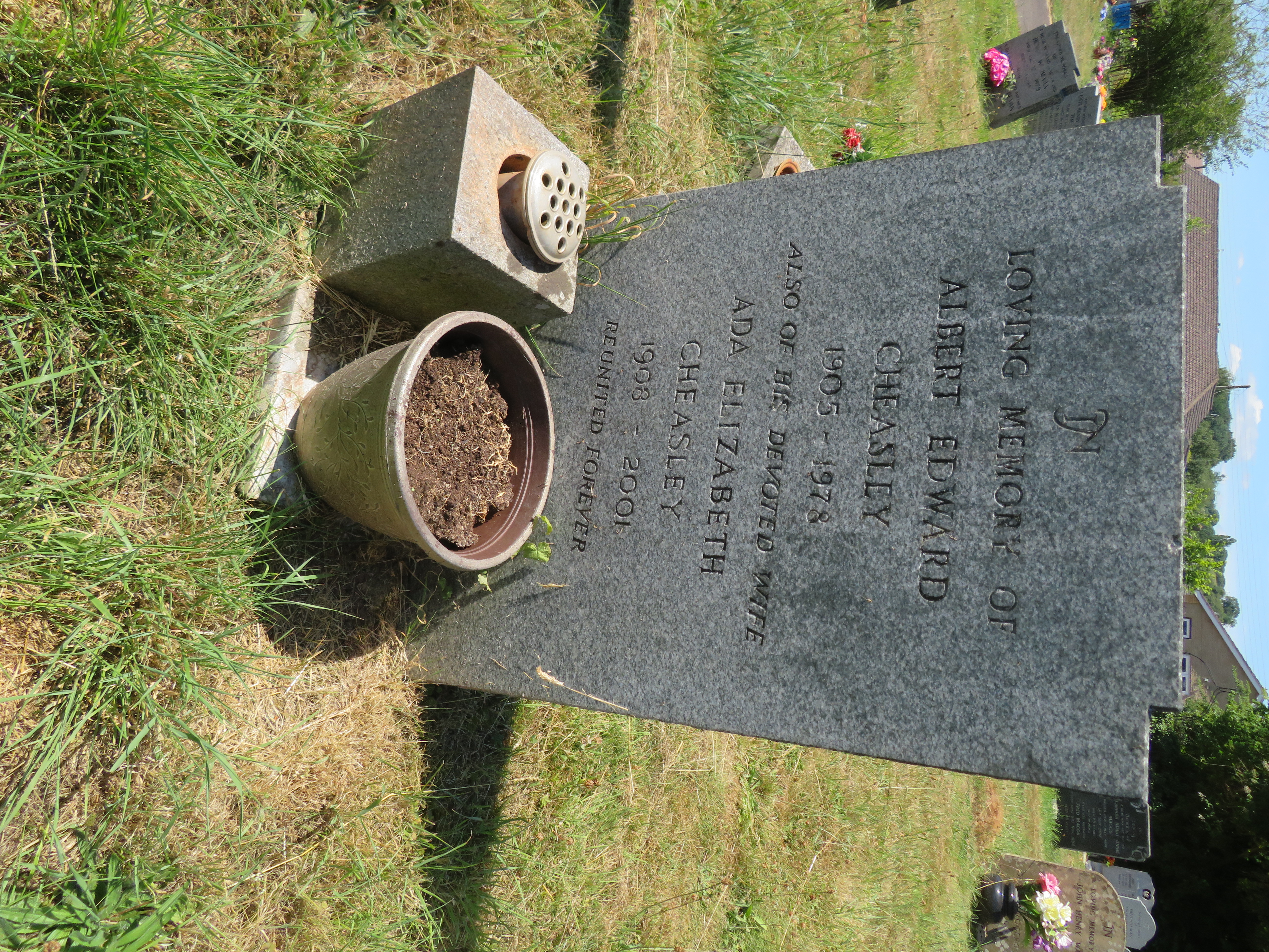 MSN-N.LL.43 1 Cheasley