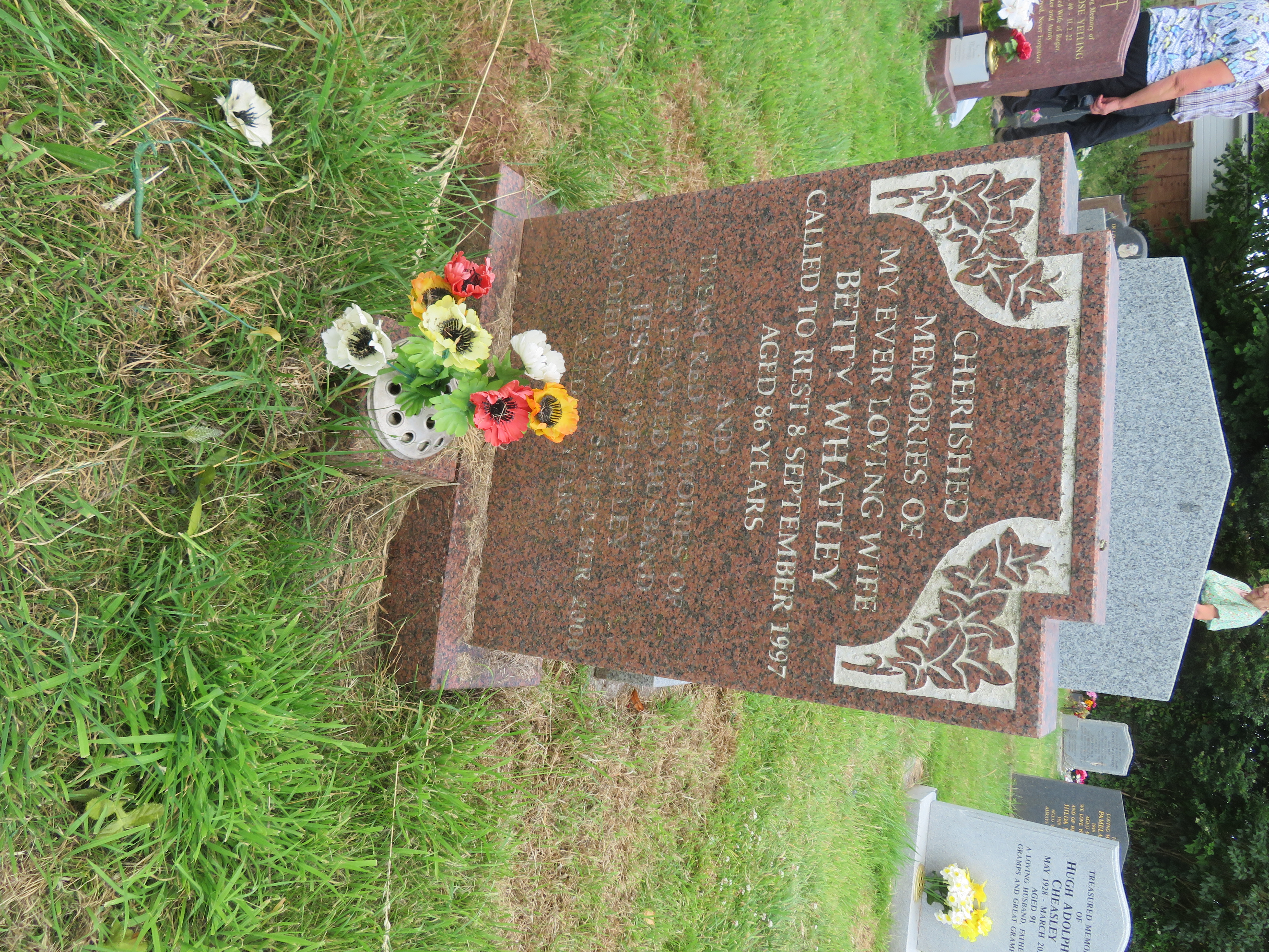 MSN-N.M.11 1 Whatley