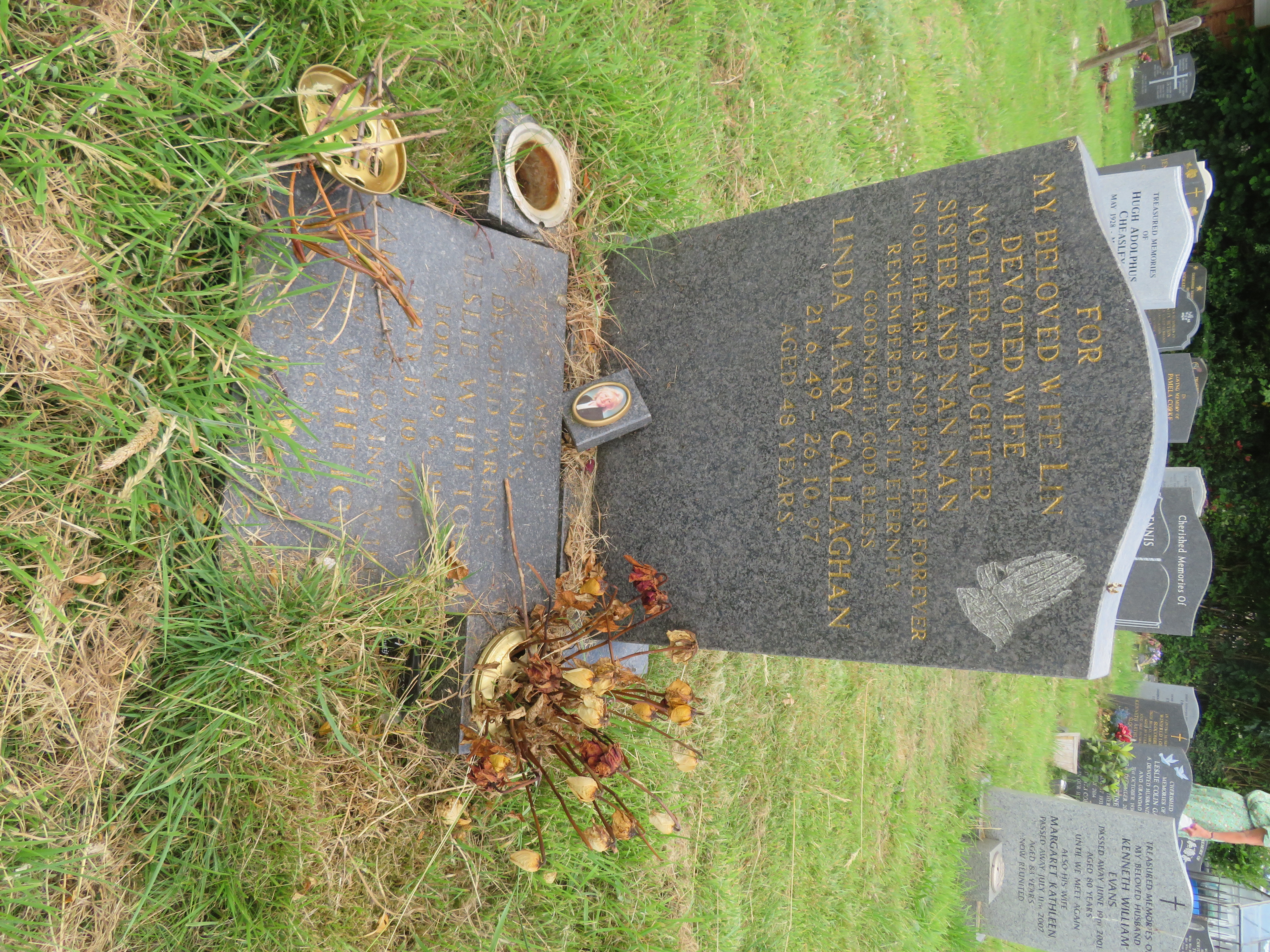 MSN-N.M.13 1 Callaghan