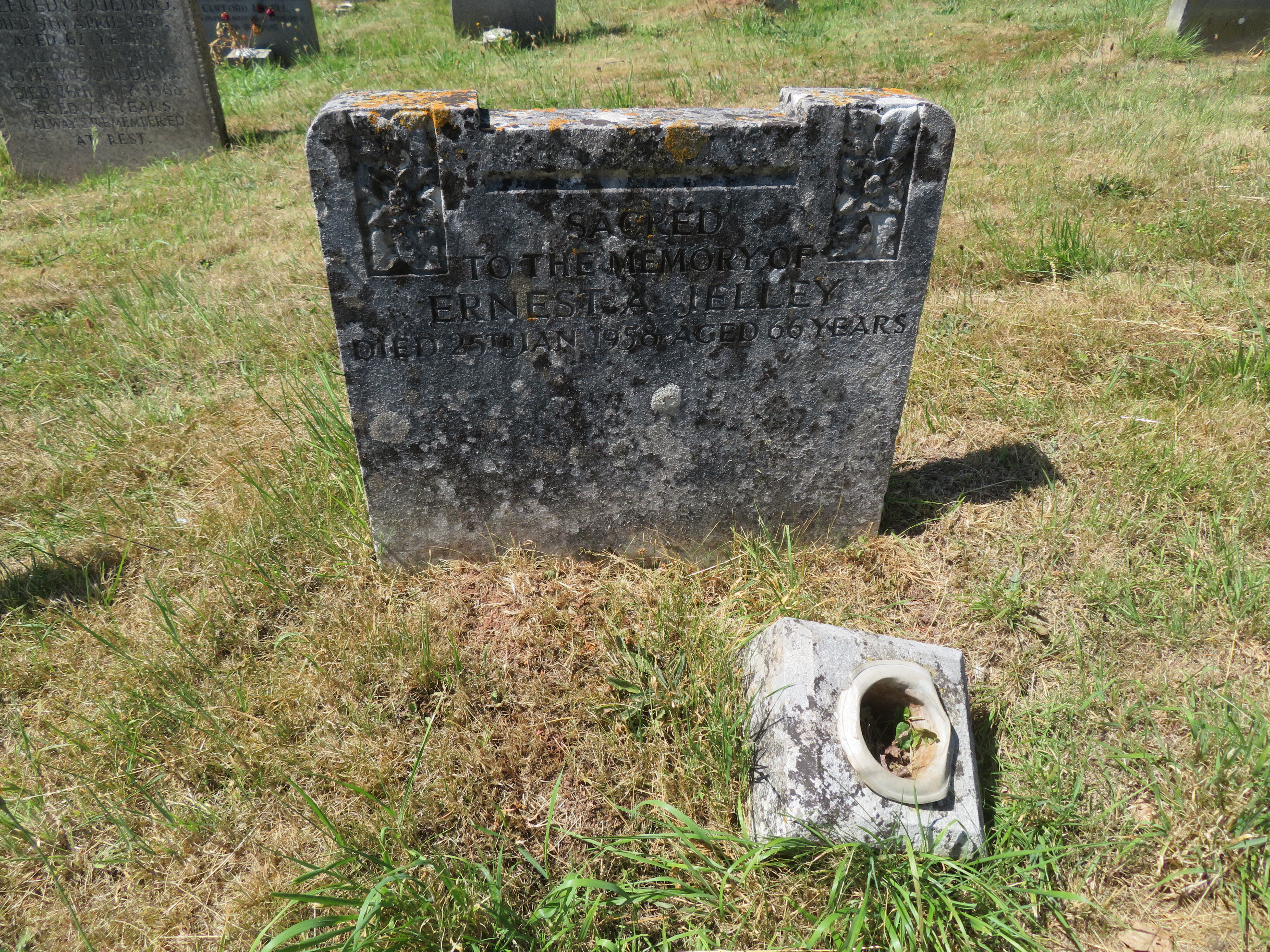 MSN-N.MM.09 1 Jelley