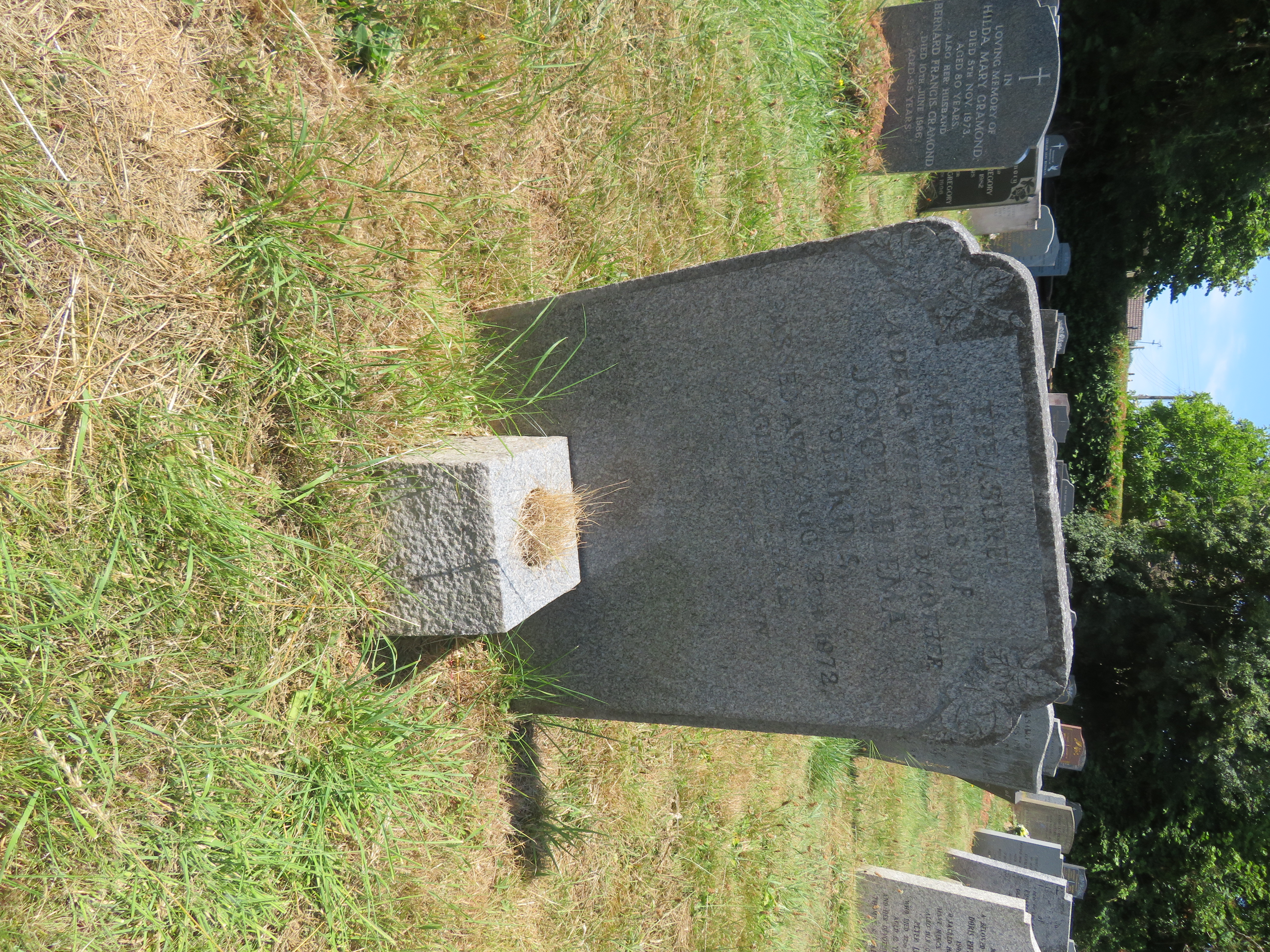 MSN-N.MM.37 1 Perkins