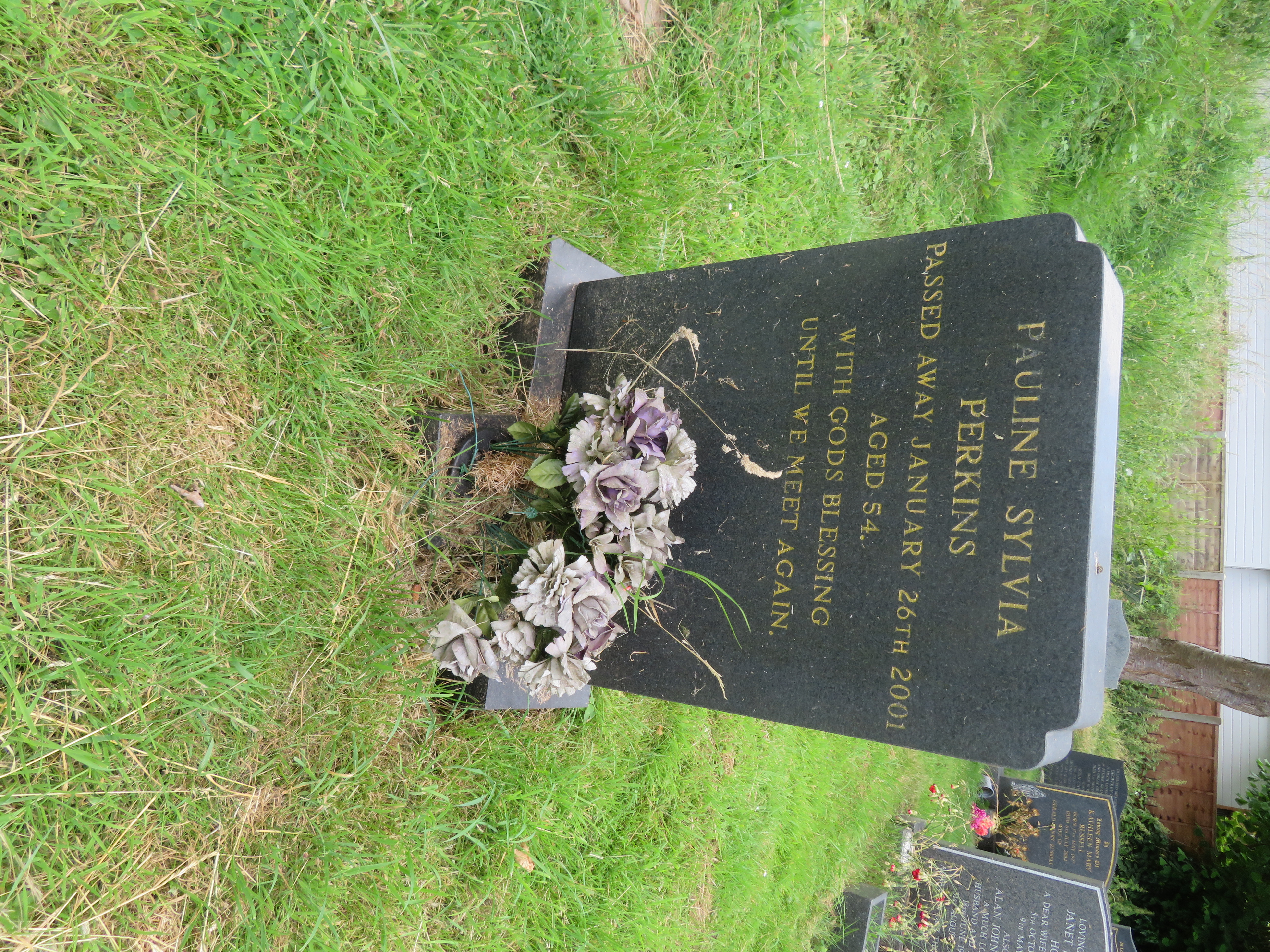 MSN-N.N.05 1 Perkins