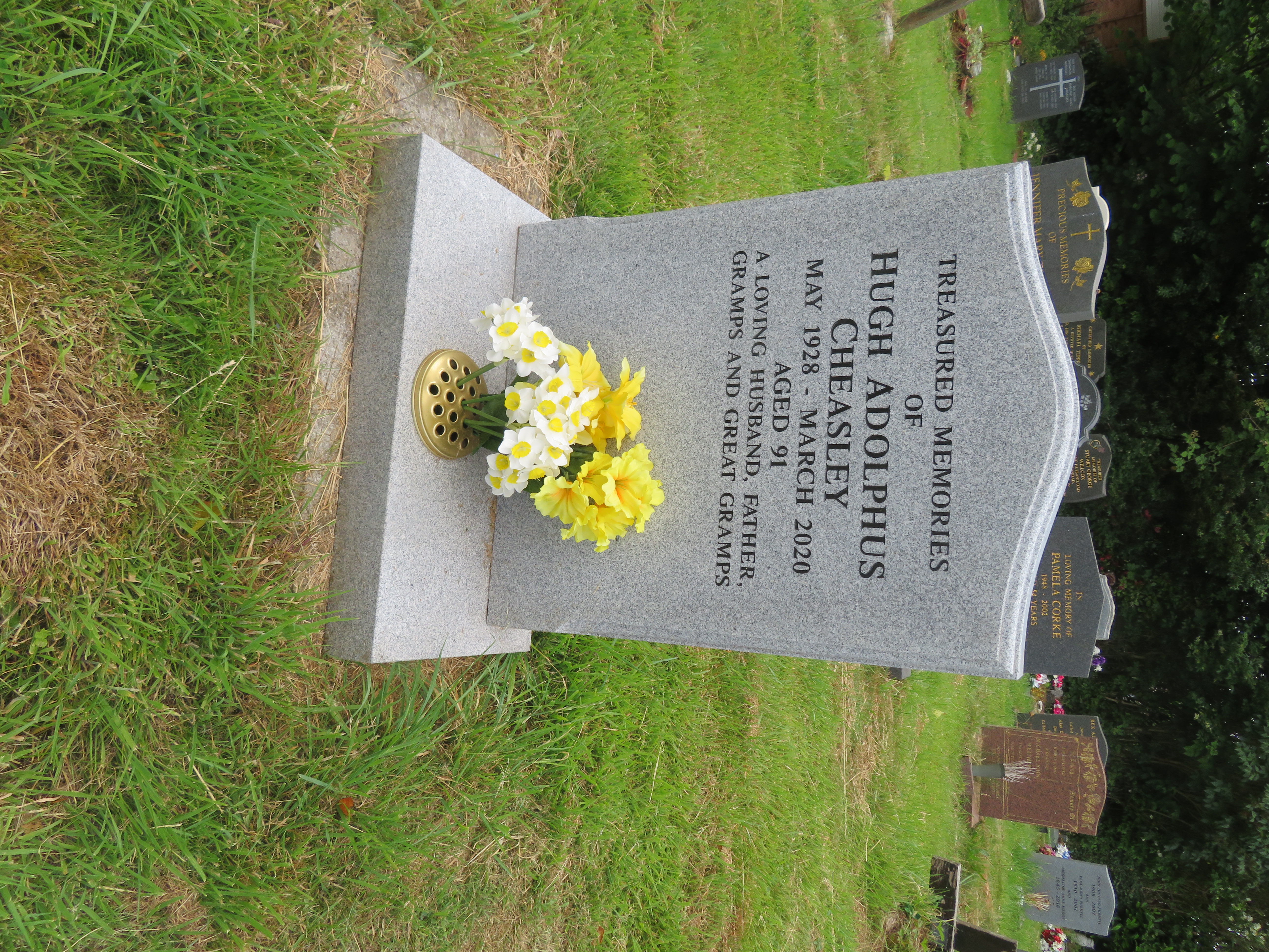 MSN-N.N.12 1 Cheasley