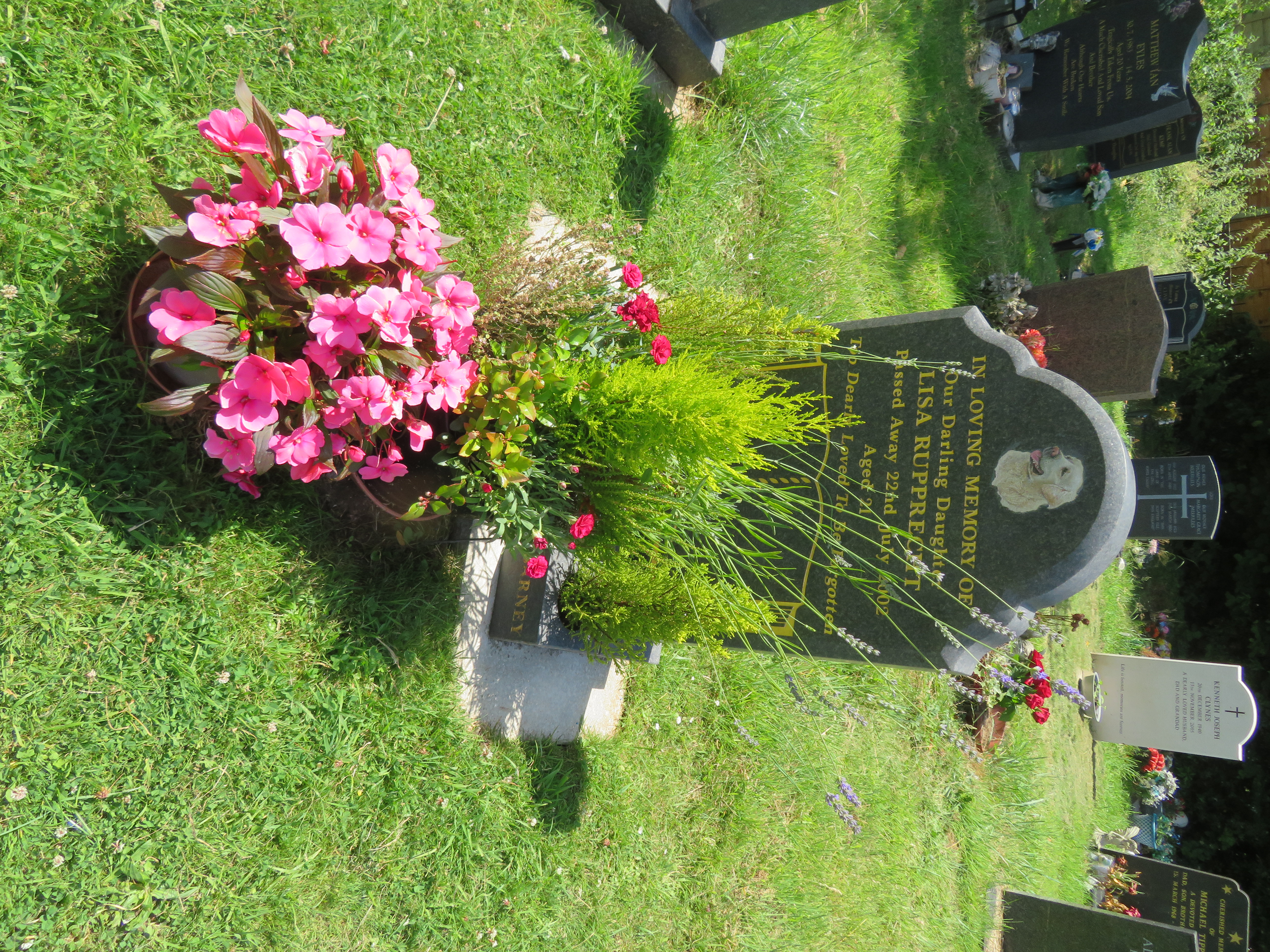 MSN-N.O.09 1 Rupprecht