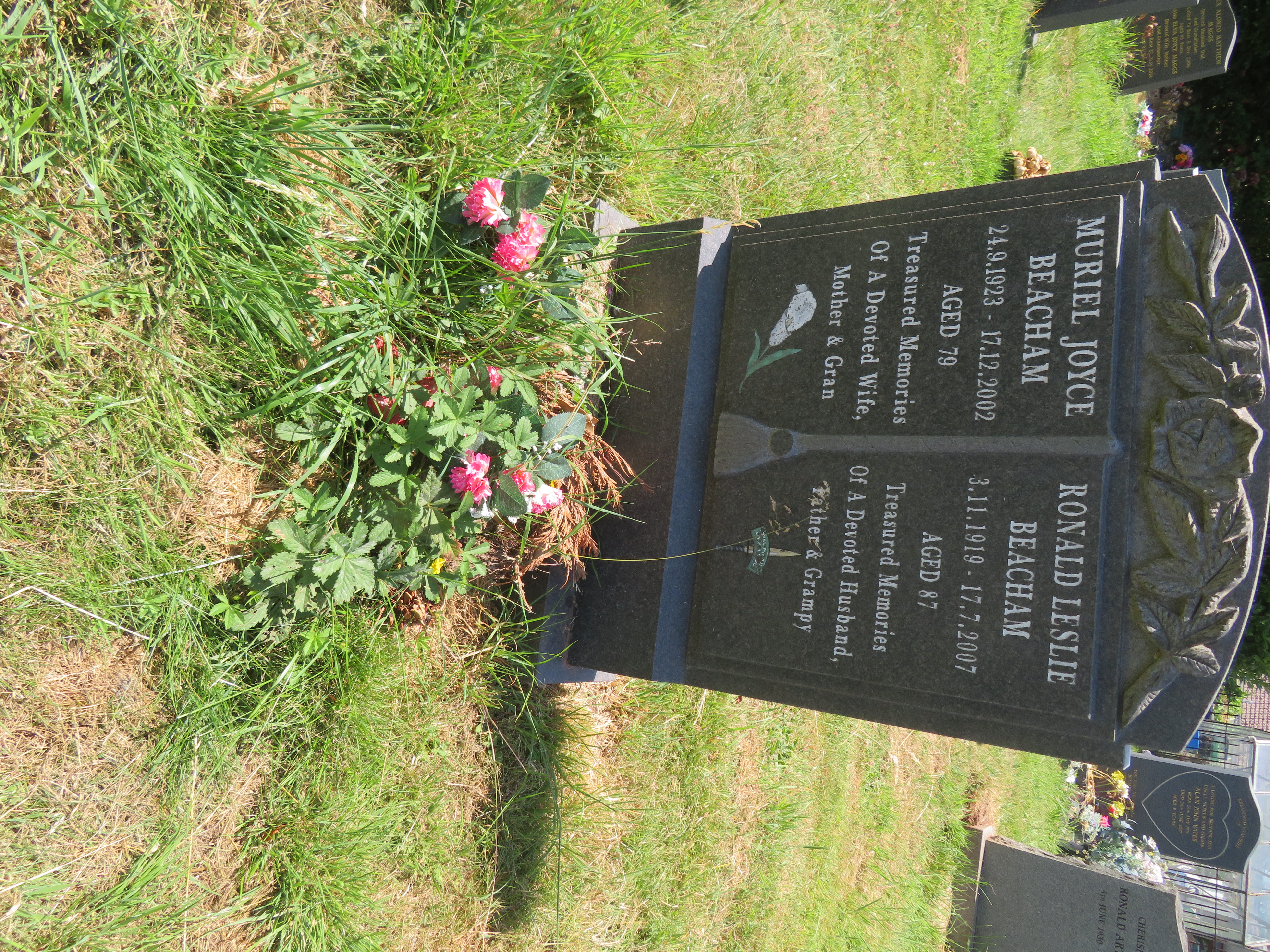 MSN-N.O.16 1 Beacham