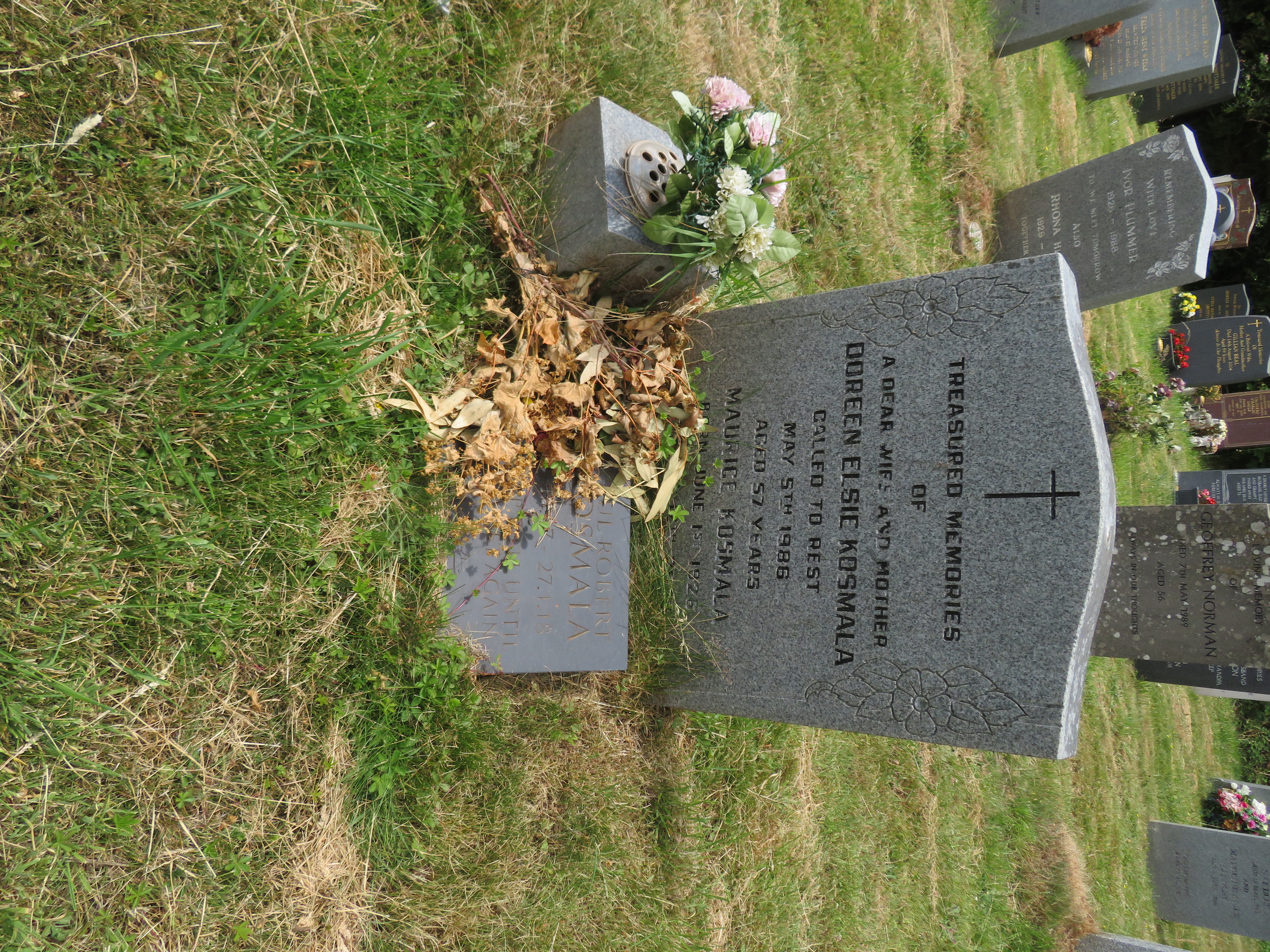 MSN-N.OO.11 1 Kosmala