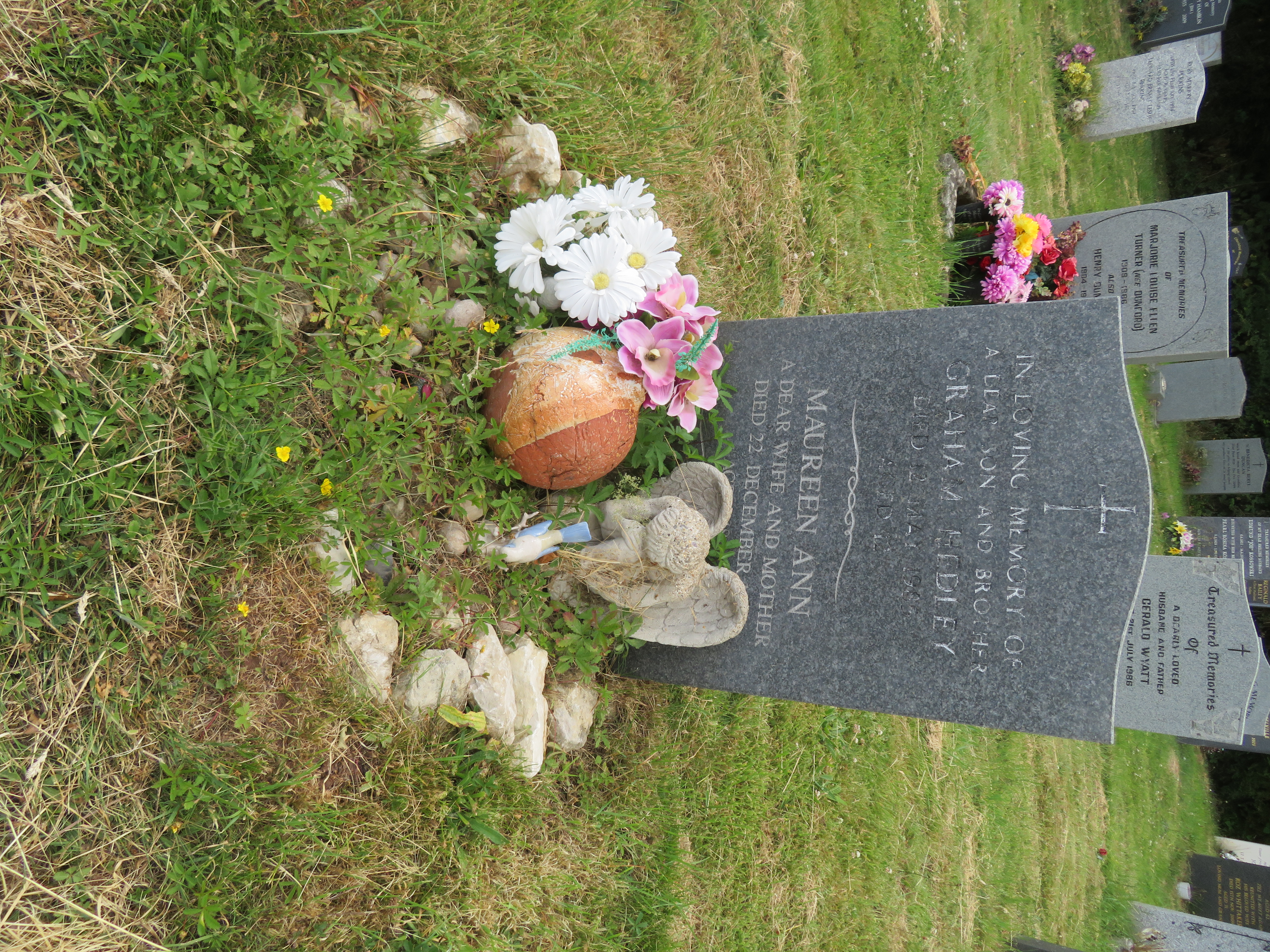 MSN-N.OO.16 1 Hedley