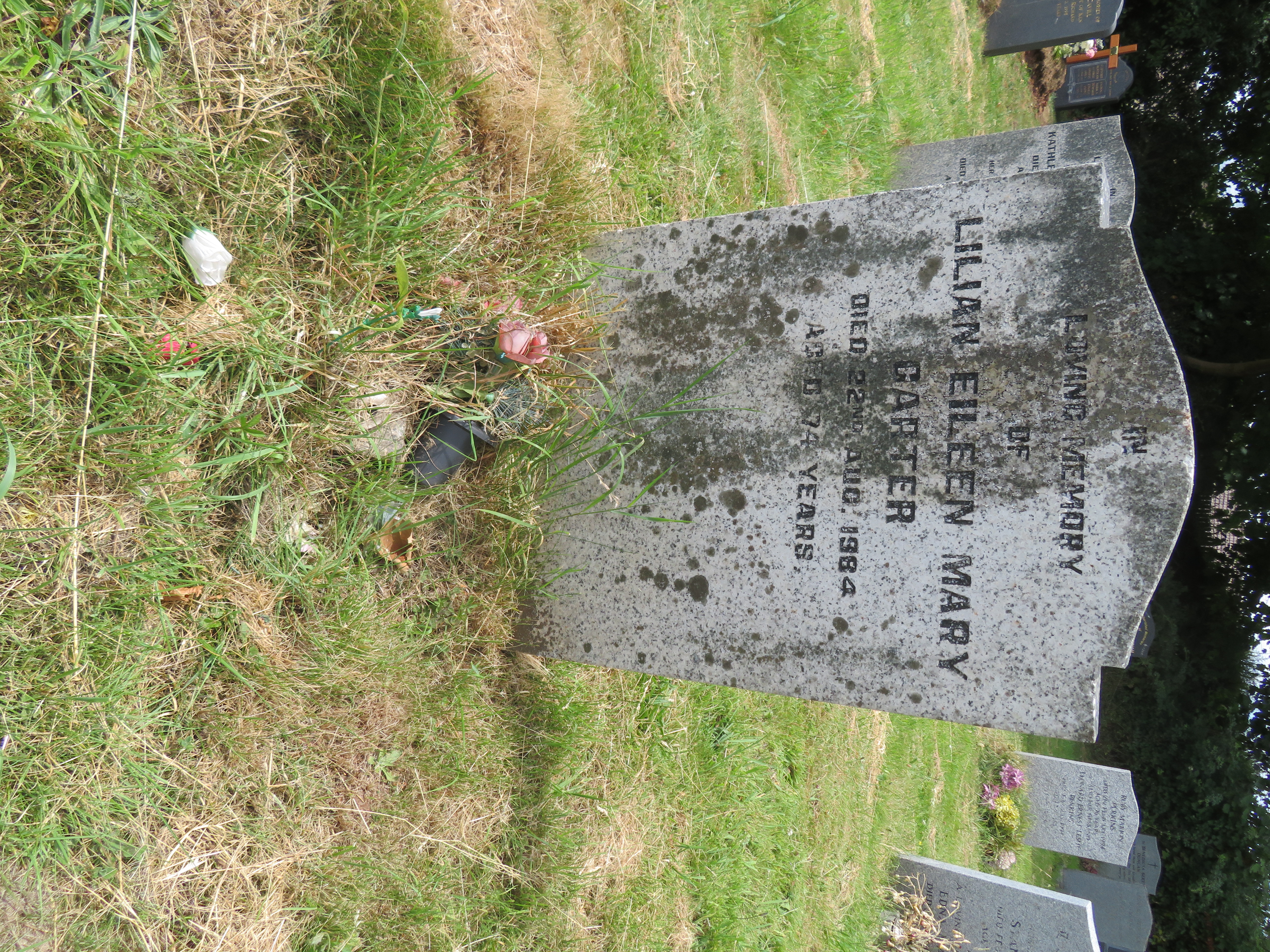 MSN-N.OO.20 1 Carter