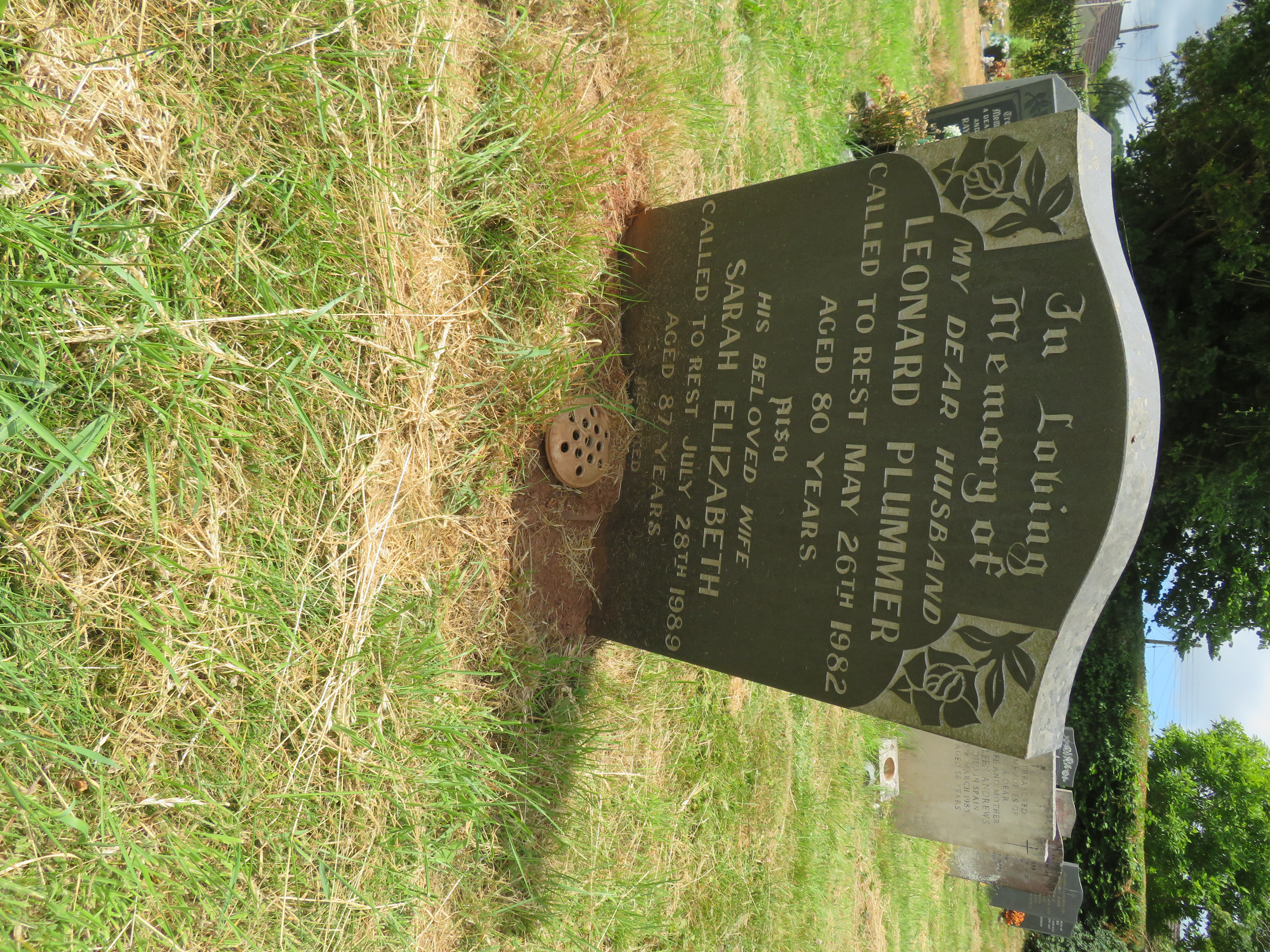 MSN-N.OO.39 1 Plummer