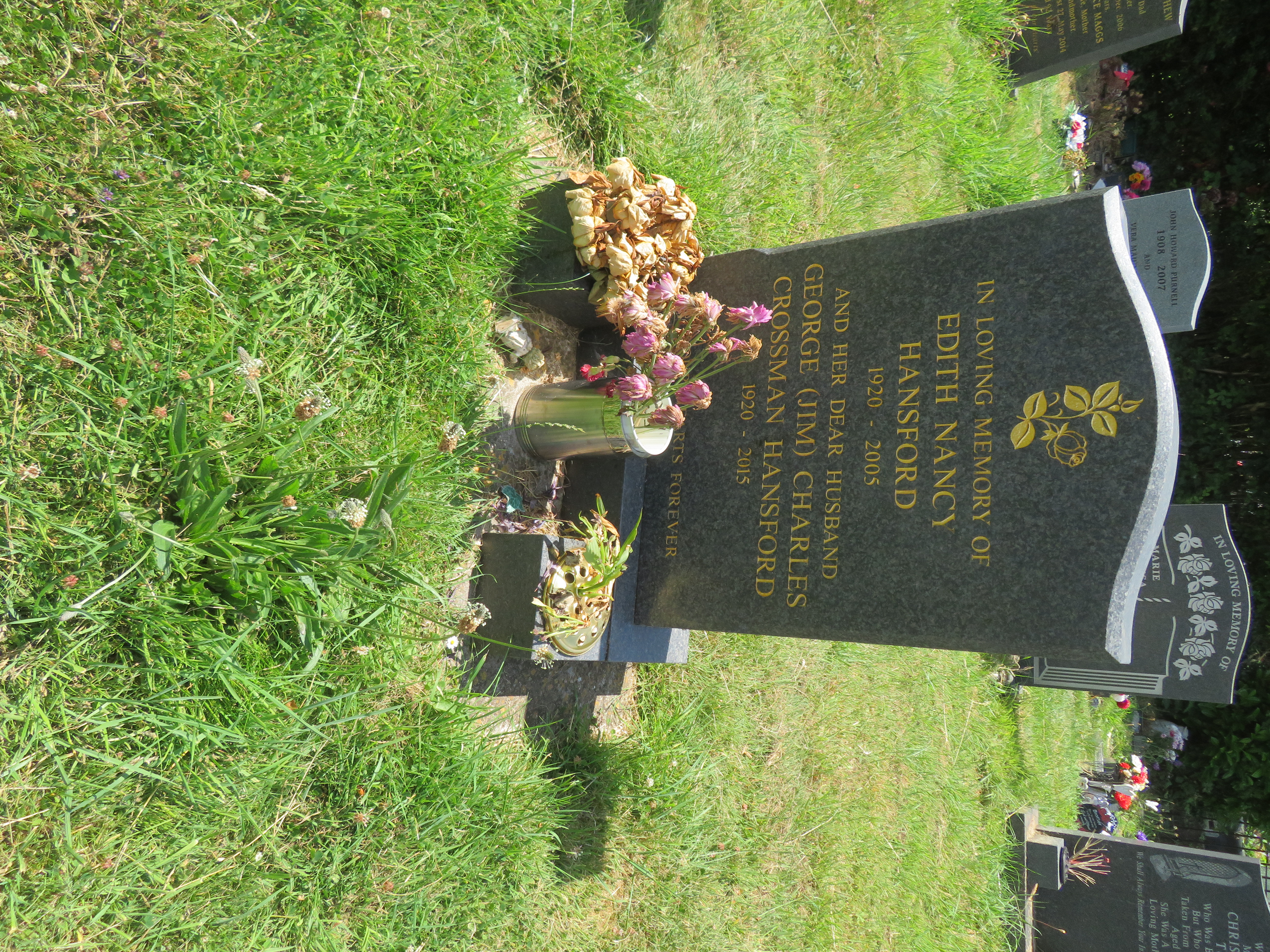 MSN-N.P.15 1 Hansford